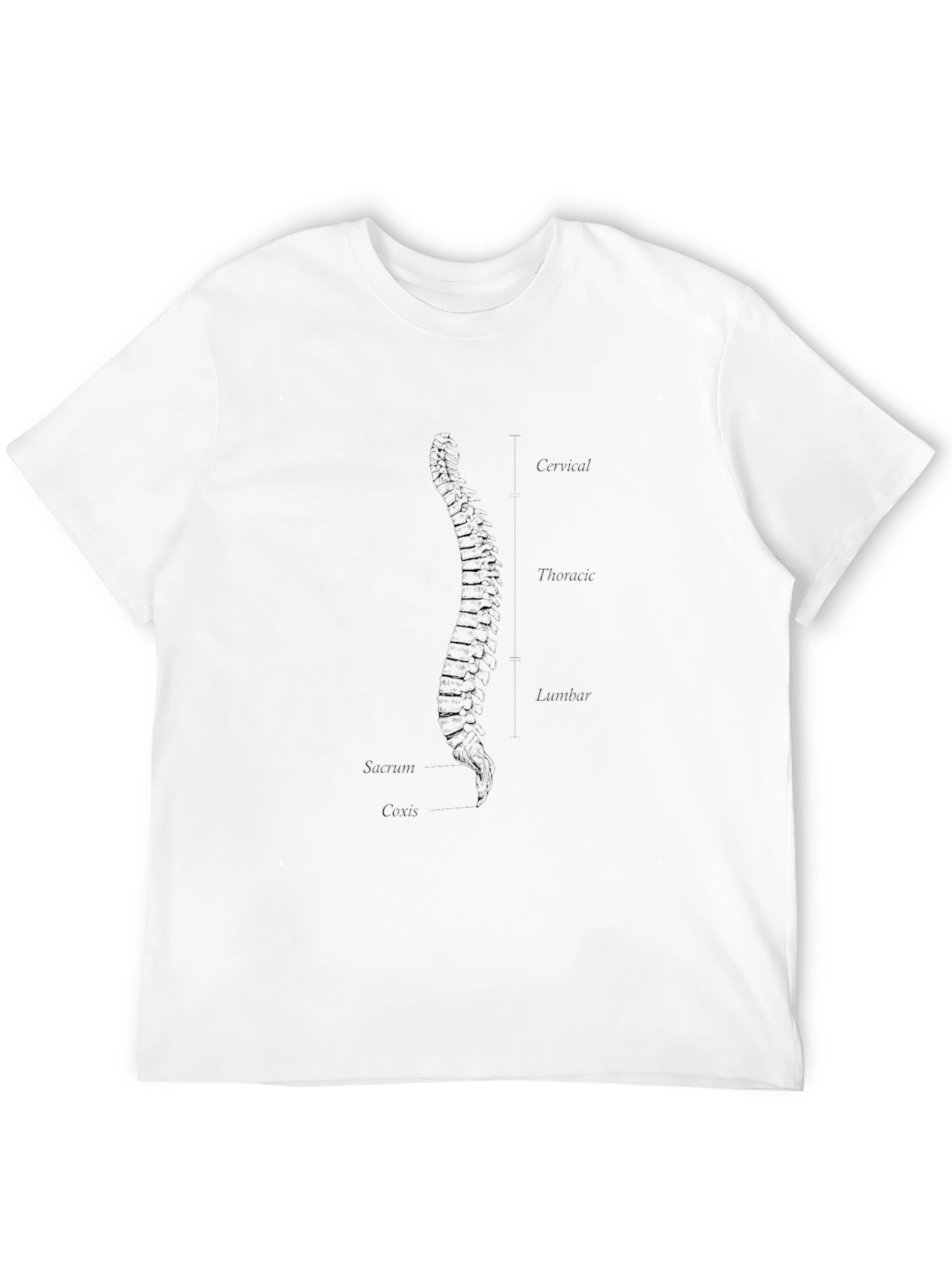 Anatomical Spine Graphic T-Shirt - Black