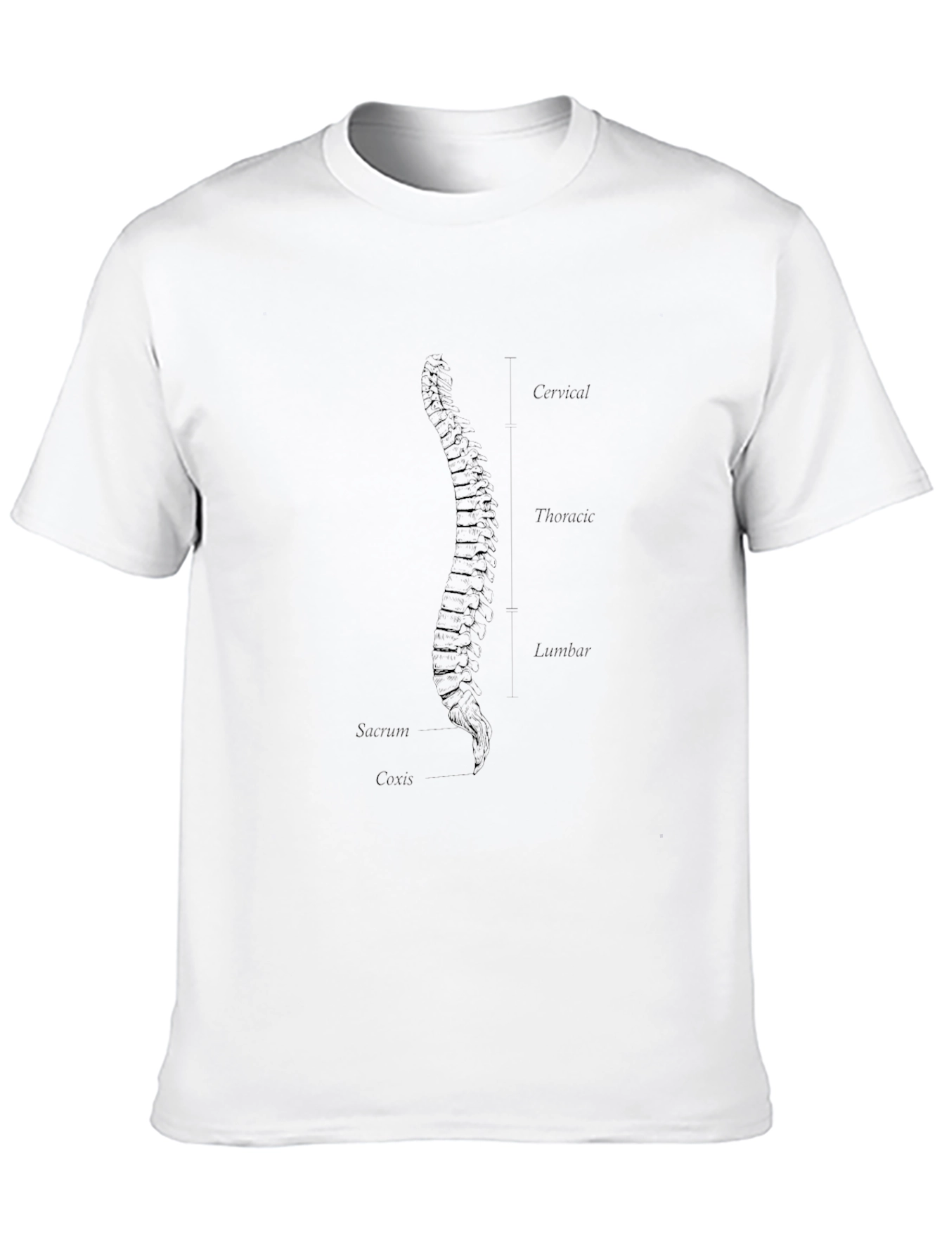 Anatomical Spine Graphic T-Shirt - Black