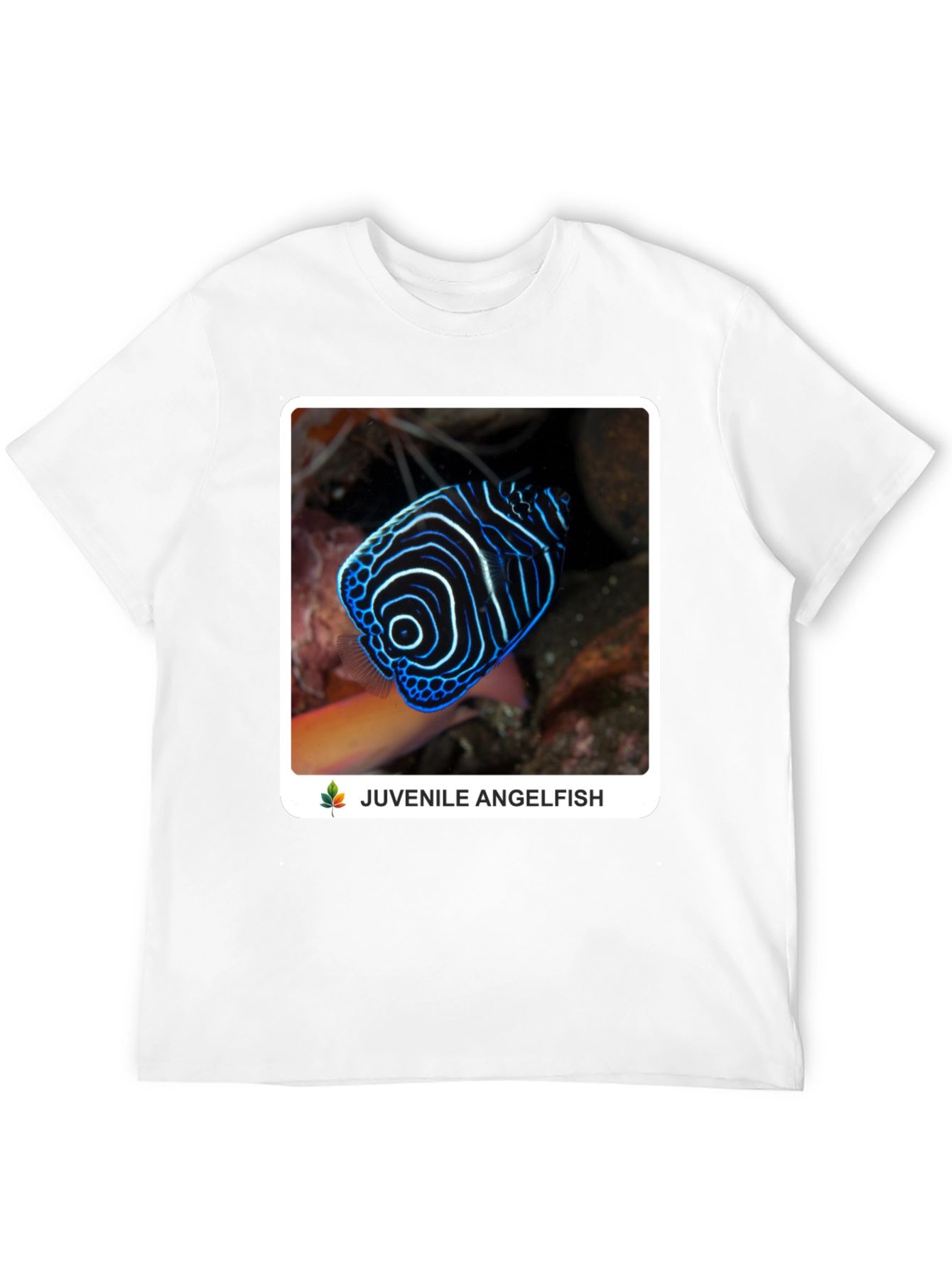 Juvenile Angelfish Graphic T-Shirt