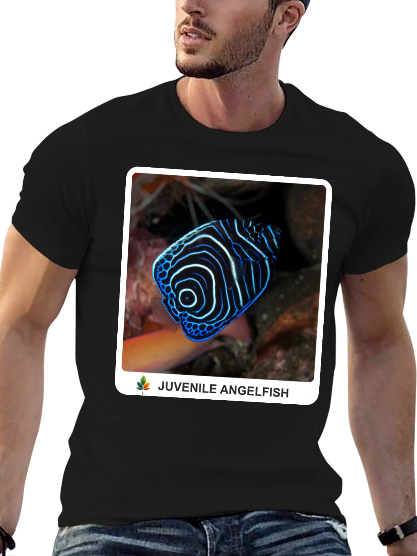Juvenile Angelfish Graphic T-Shirt