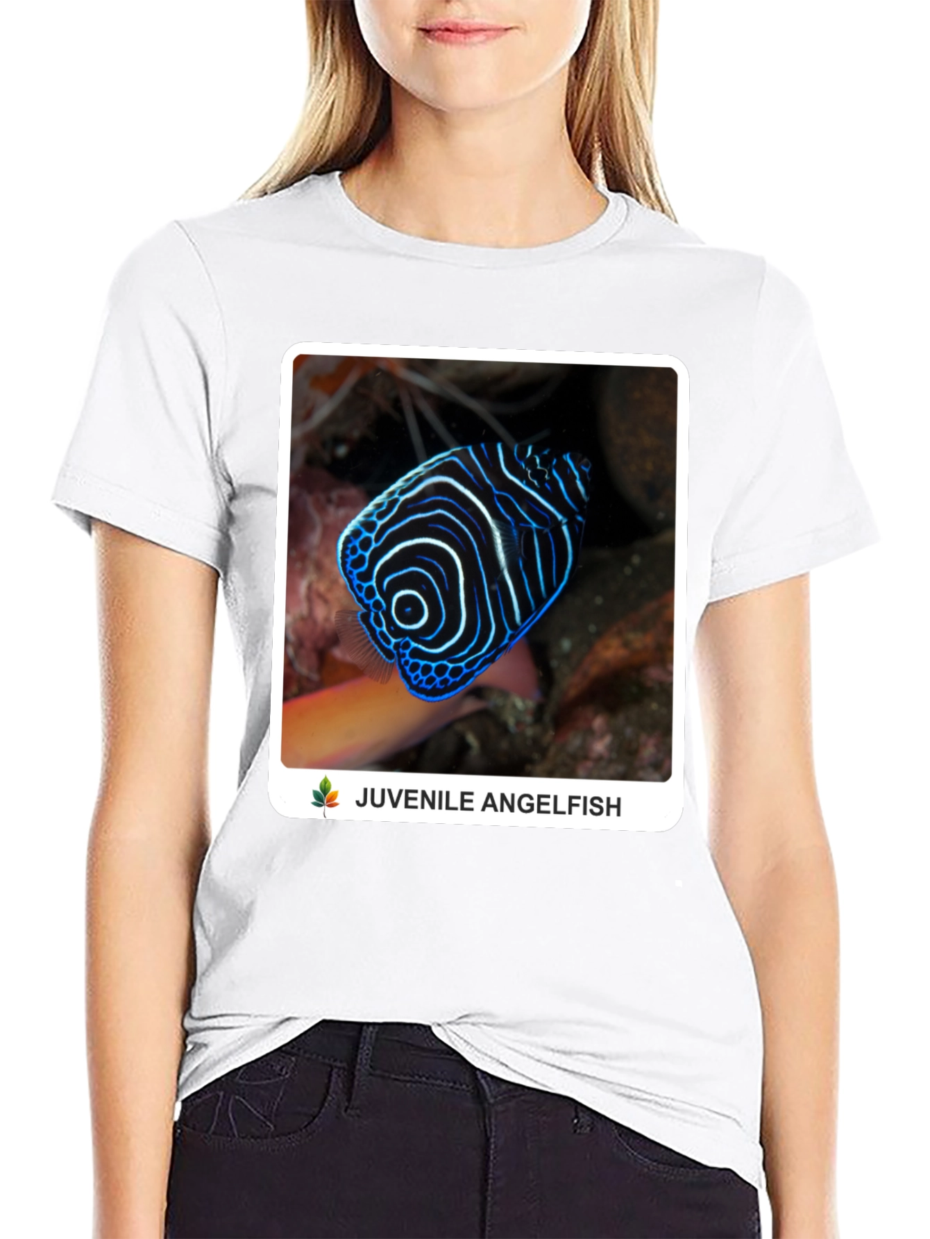 Juvenile Angelfish Graphic T-Shirt