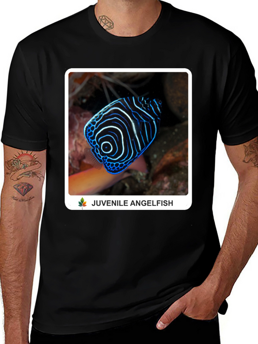 Juvenile Angelfish Graphic T-Shirt