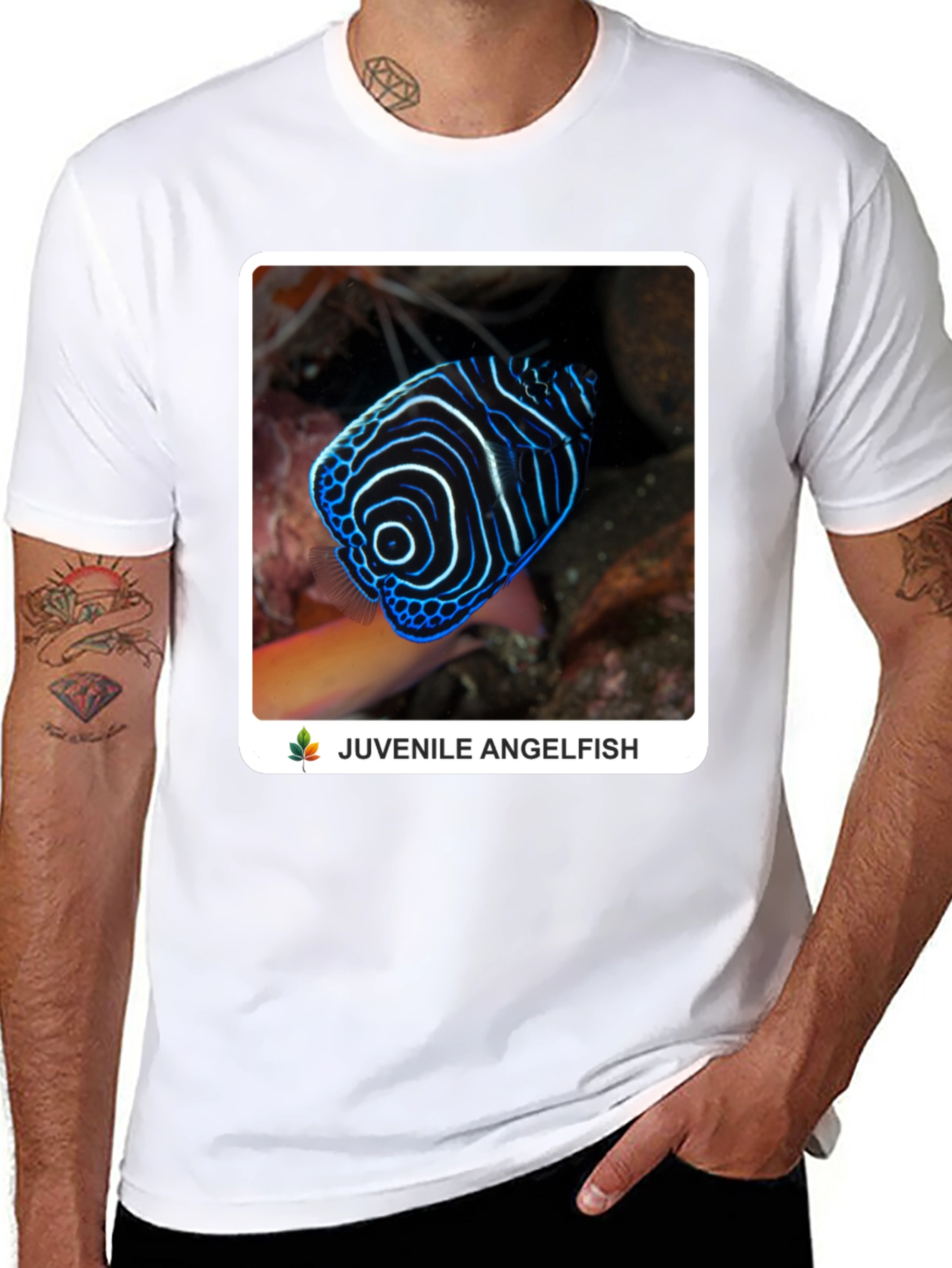Juvenile Angelfish Graphic T-Shirt