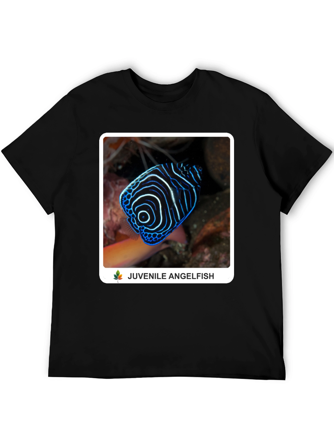 Juvenile Angelfish Graphic T-Shirt