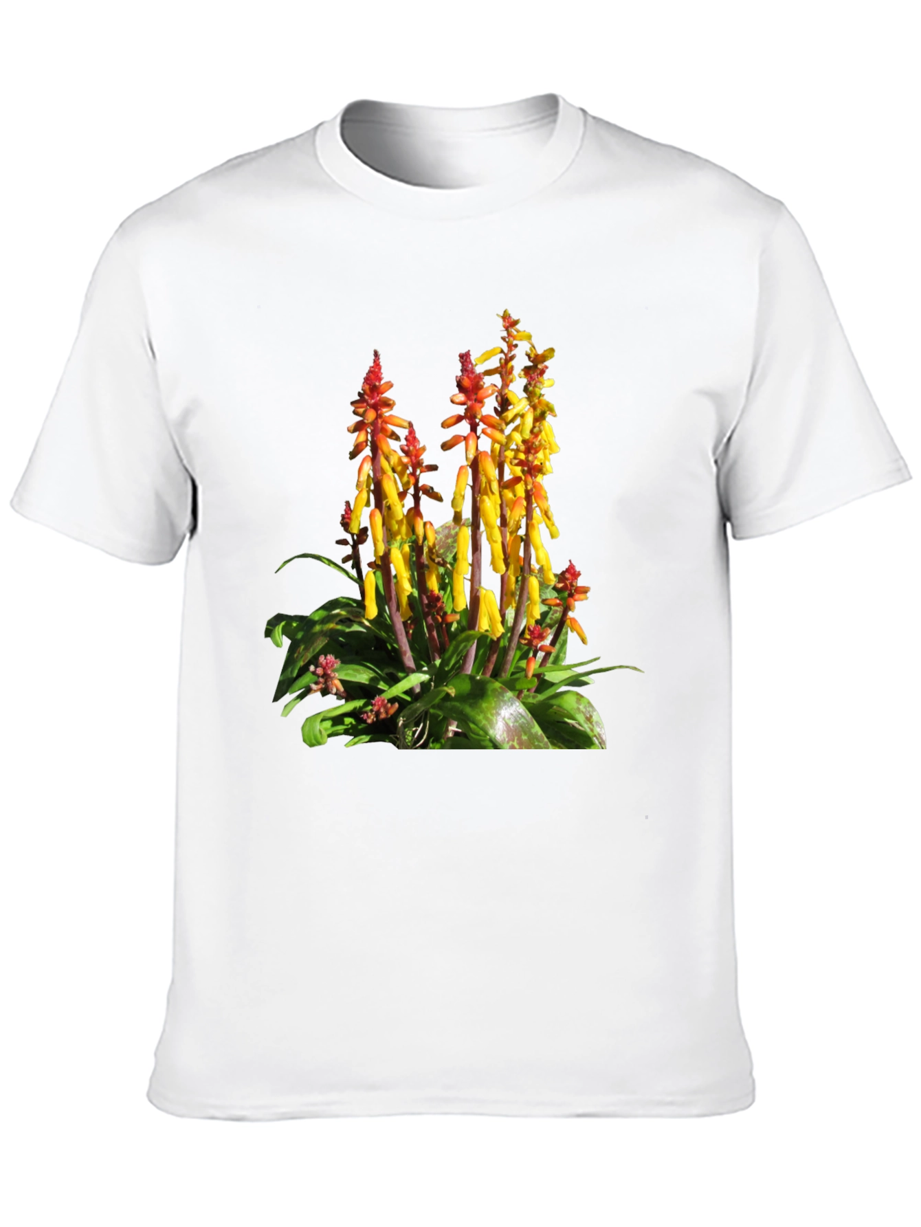 Botanical Print T-Shirt