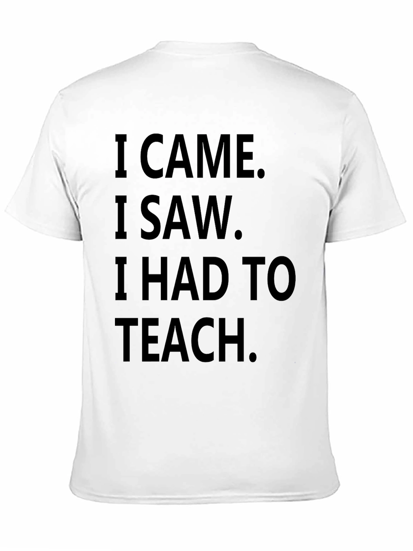 I Came I Saw I Had To Teach T-Shirt