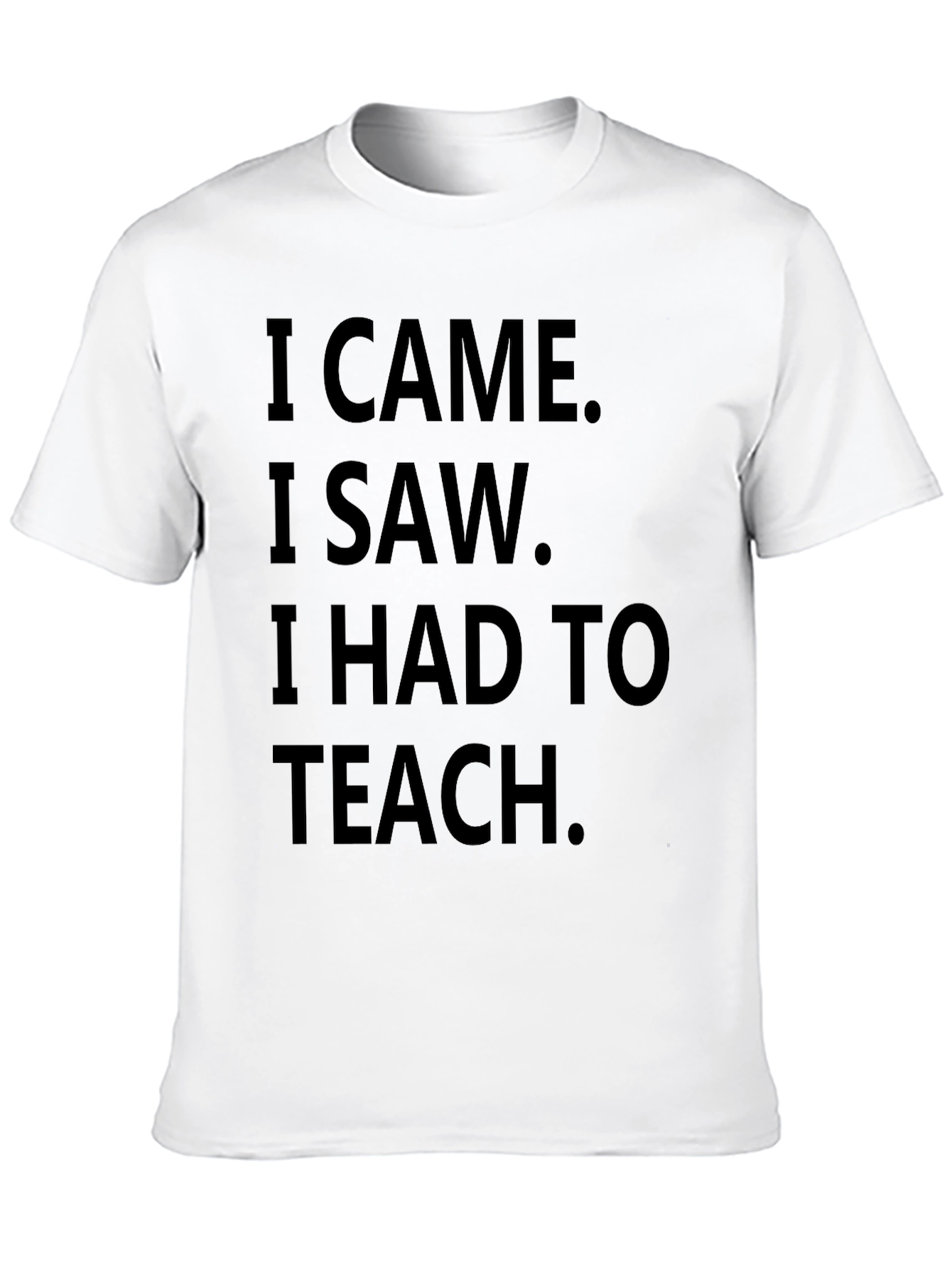 I Came I Saw I Had To Teach T-Shirt