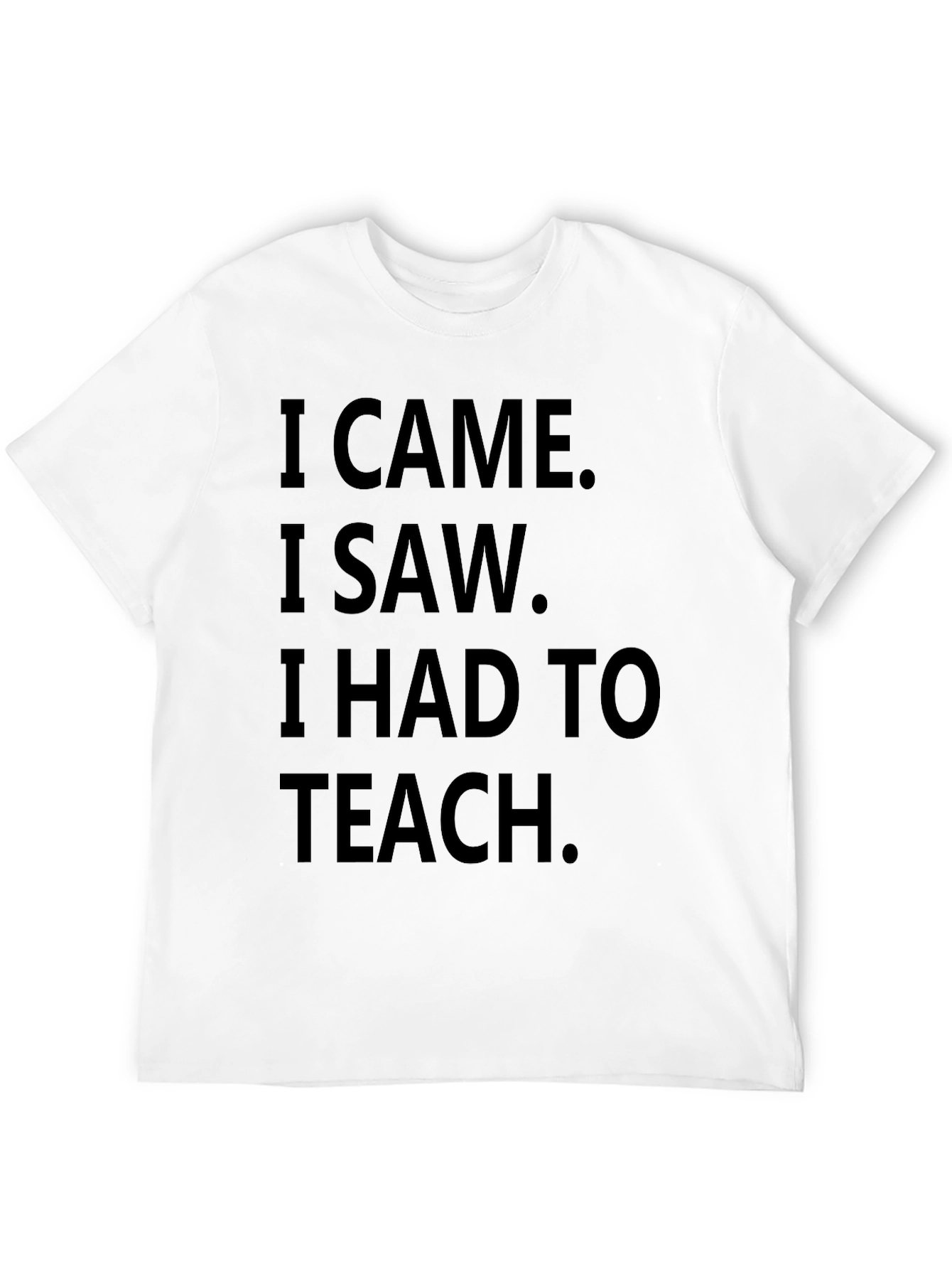 I Came I Saw I Had To Teach T-Shirt