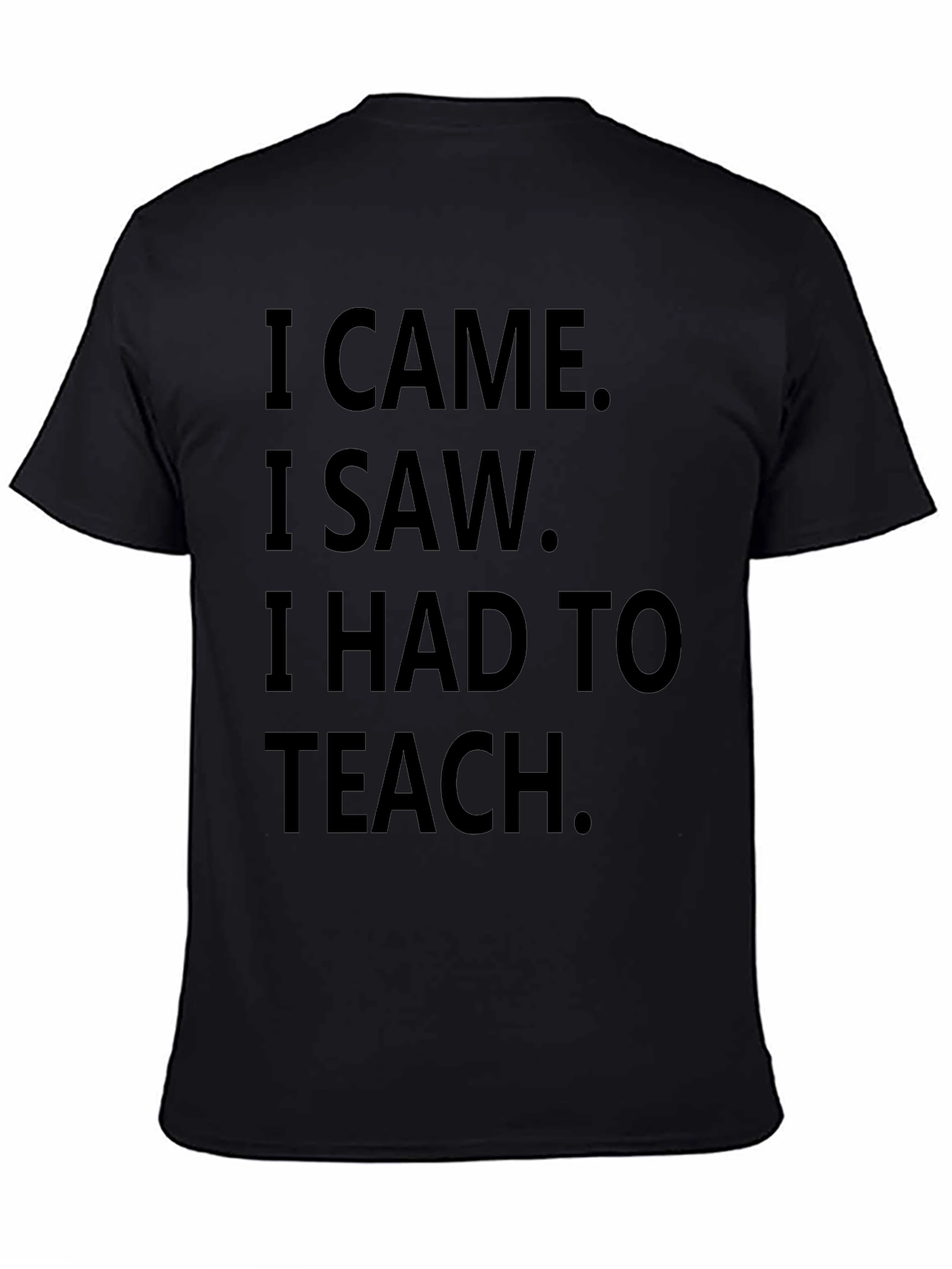 I Came I Saw I Had To Teach T-Shirt