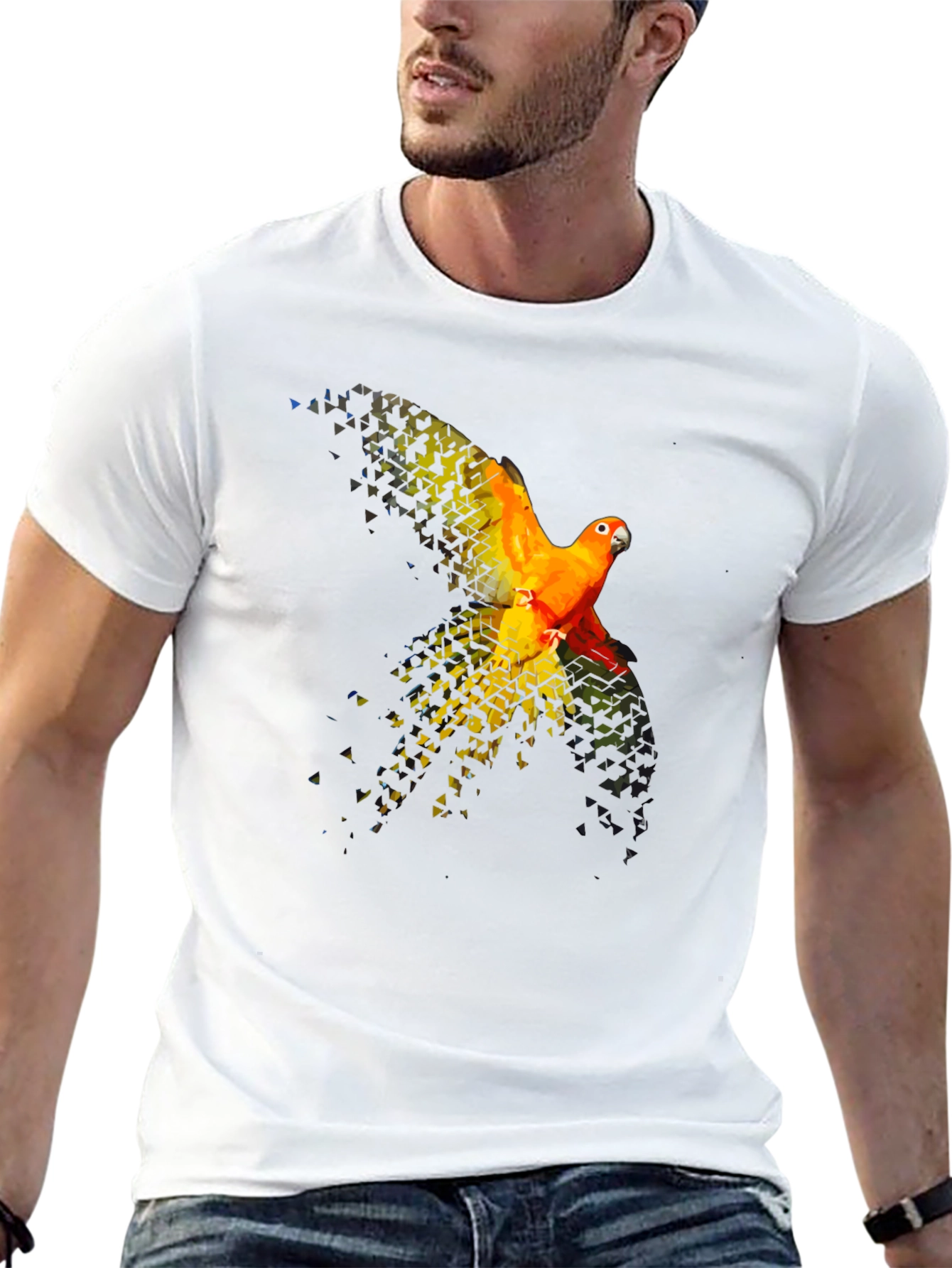 Parrot Graphic T-Shirt - Black Cotton Blend