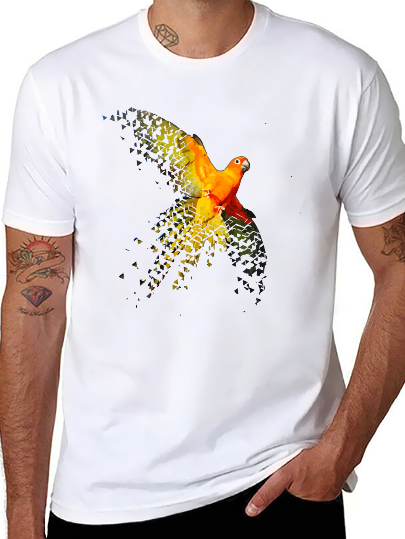Parrot Graphic T-Shirt - Black Cotton Blend