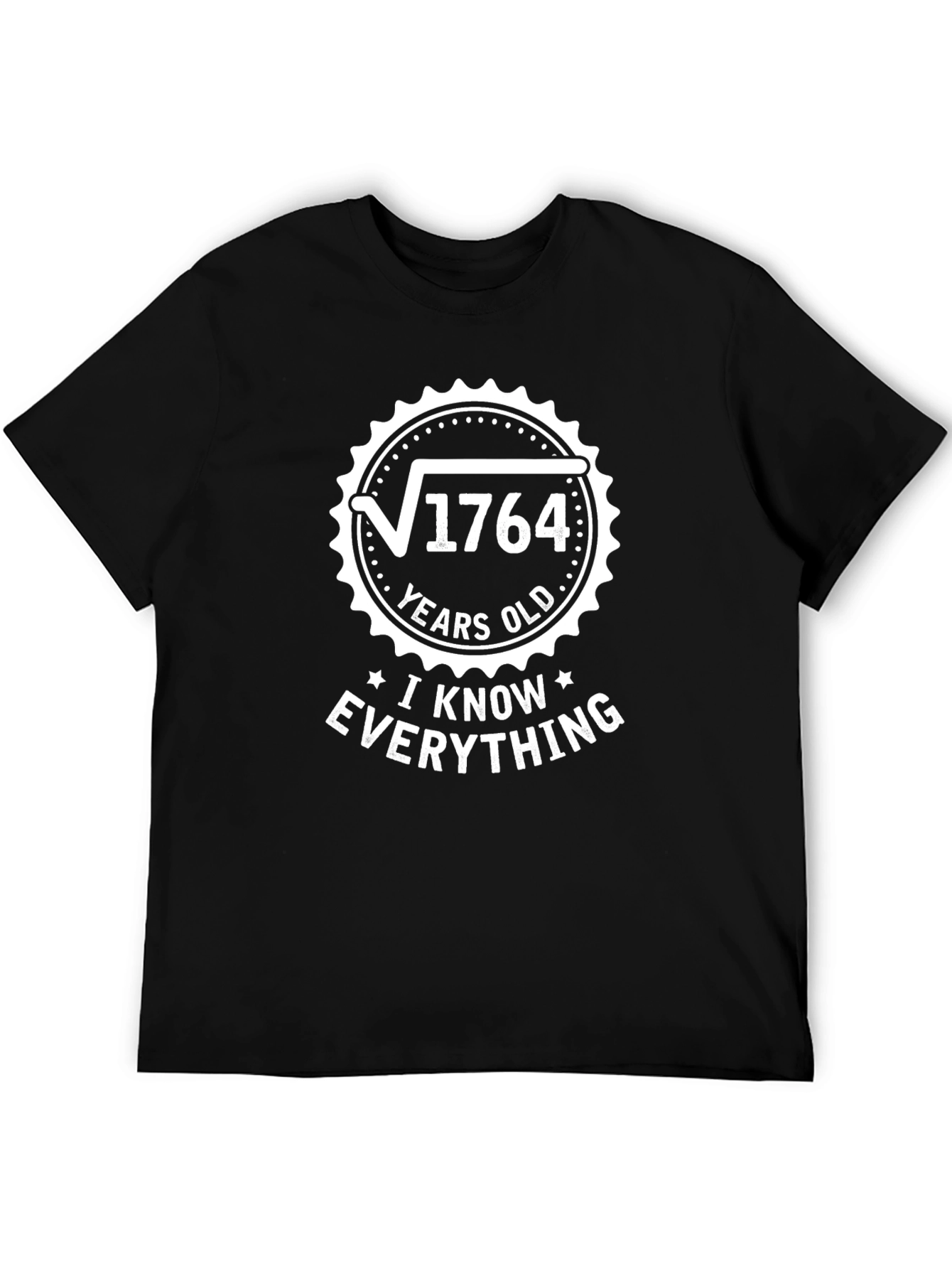 Funny Math T-Shirt - I Know Everything