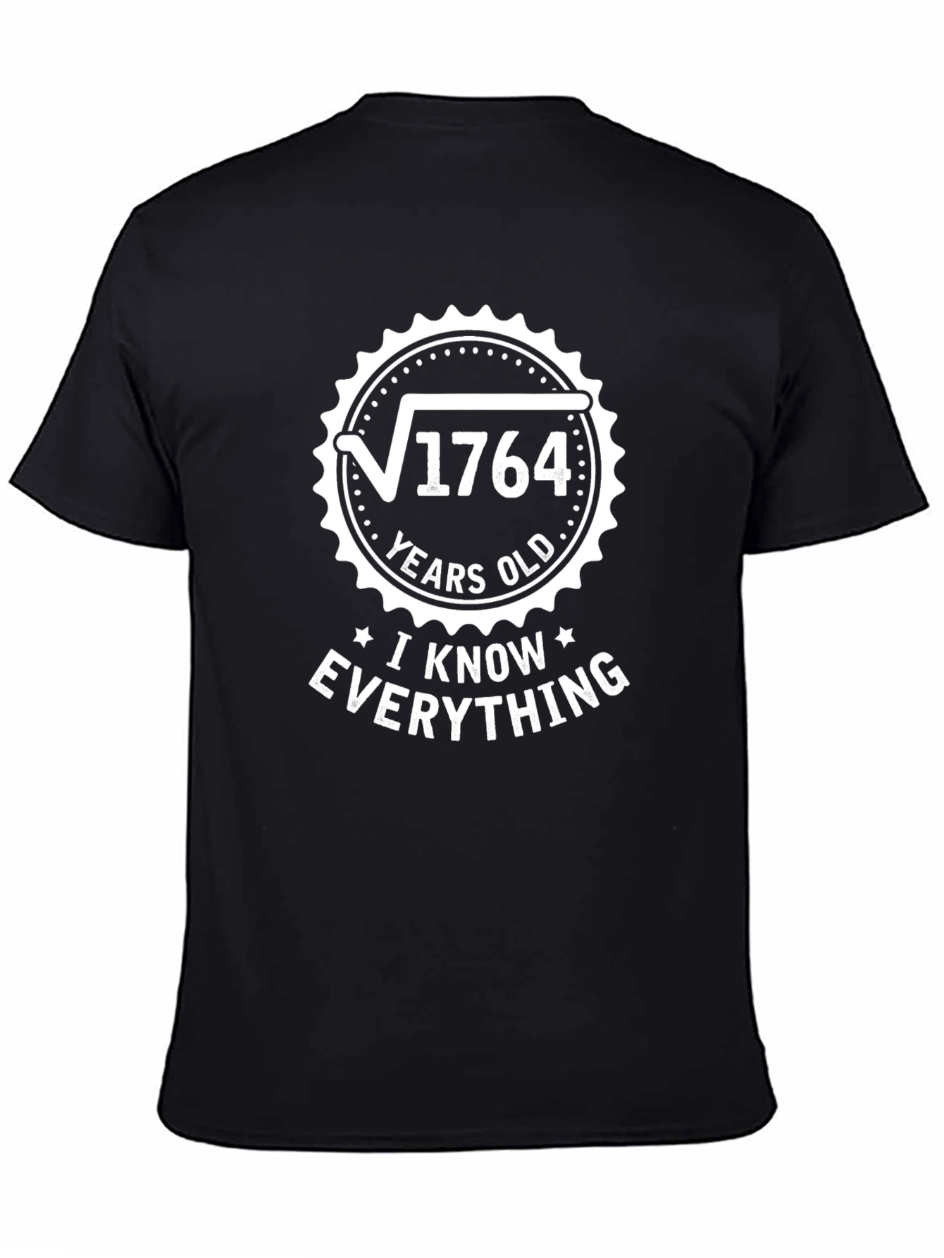 Funny Math T-Shirt - I Know Everything