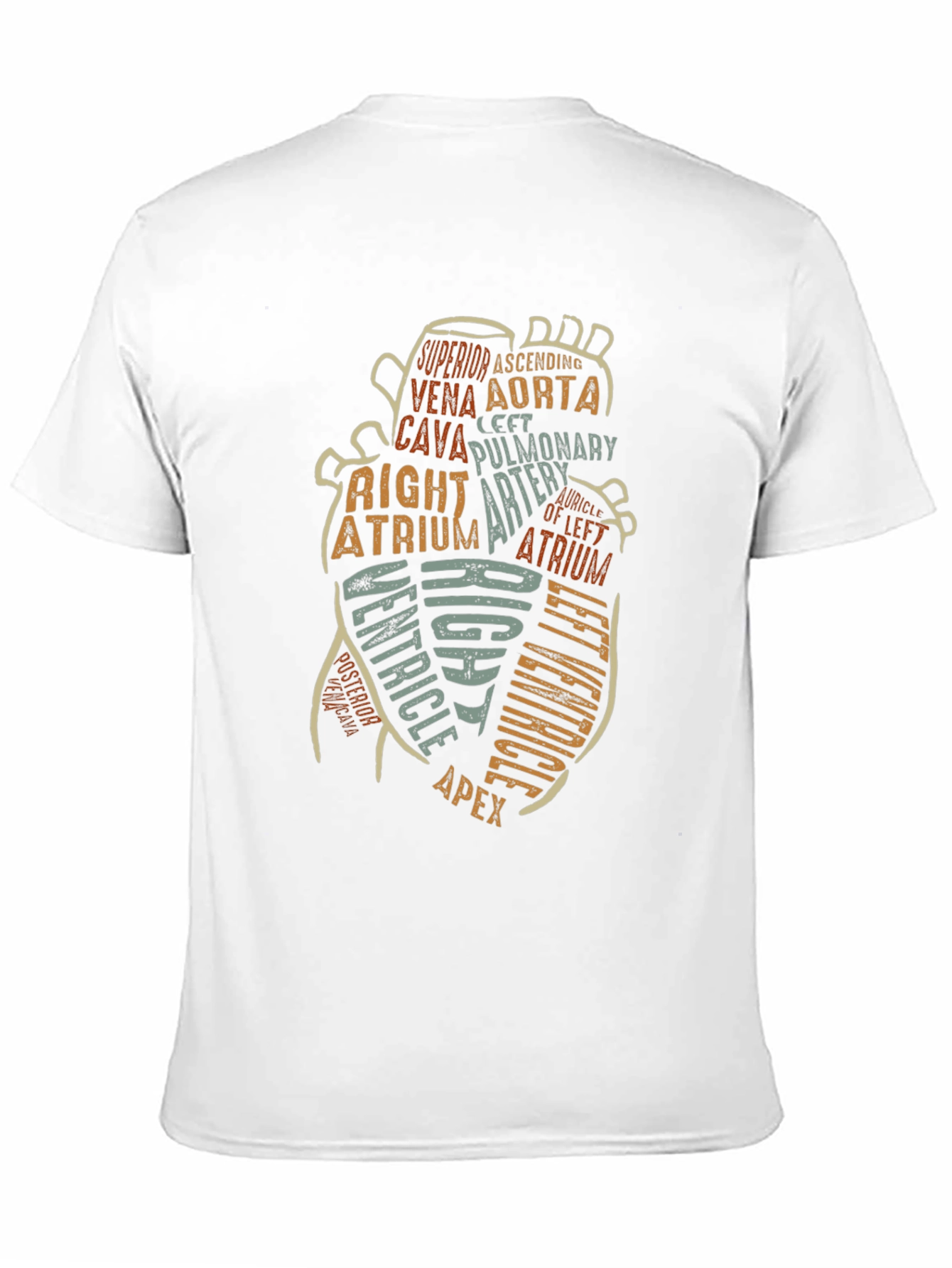Anatomy Heart T-Shirt - Medical Science Tee
