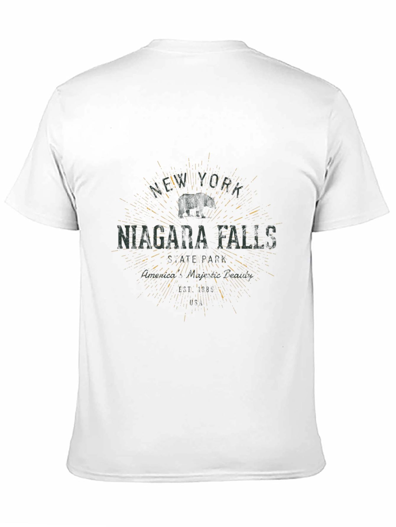 Niagara Falls NY Graphic T-Shirt