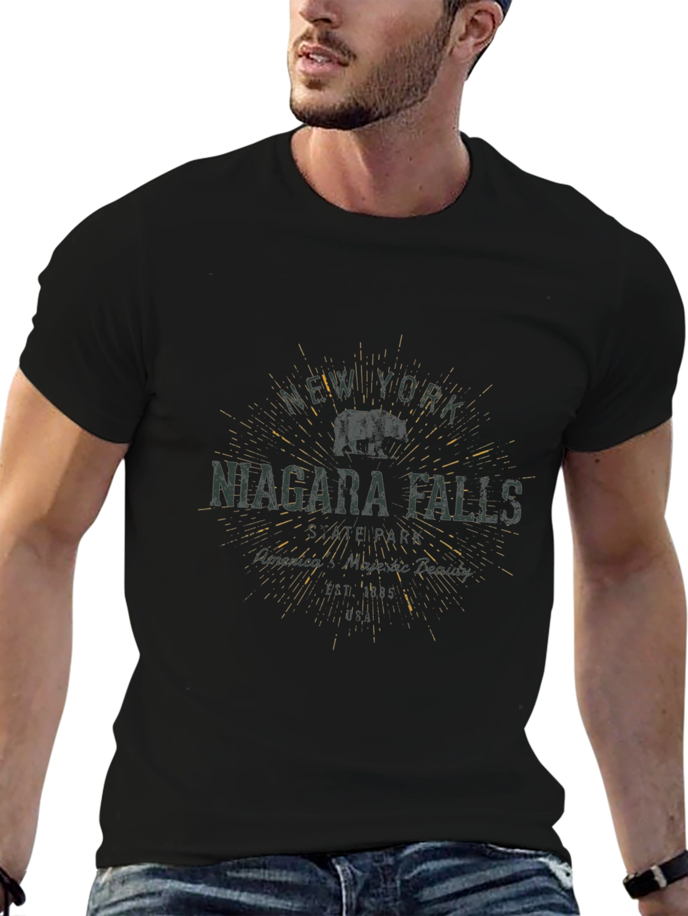 Niagara Falls NY Graphic T-Shirt