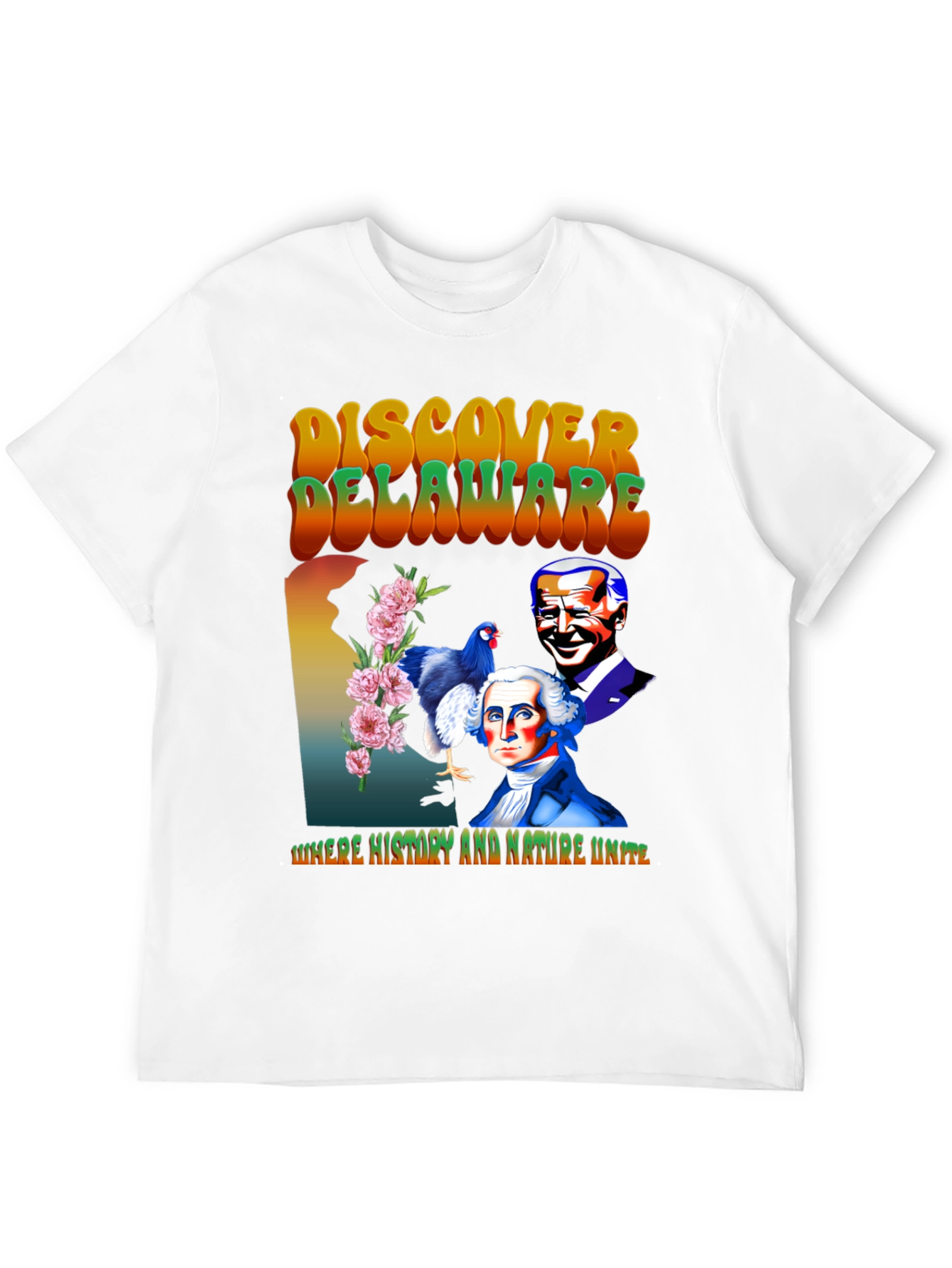 Delaware Pride Graphic Tee