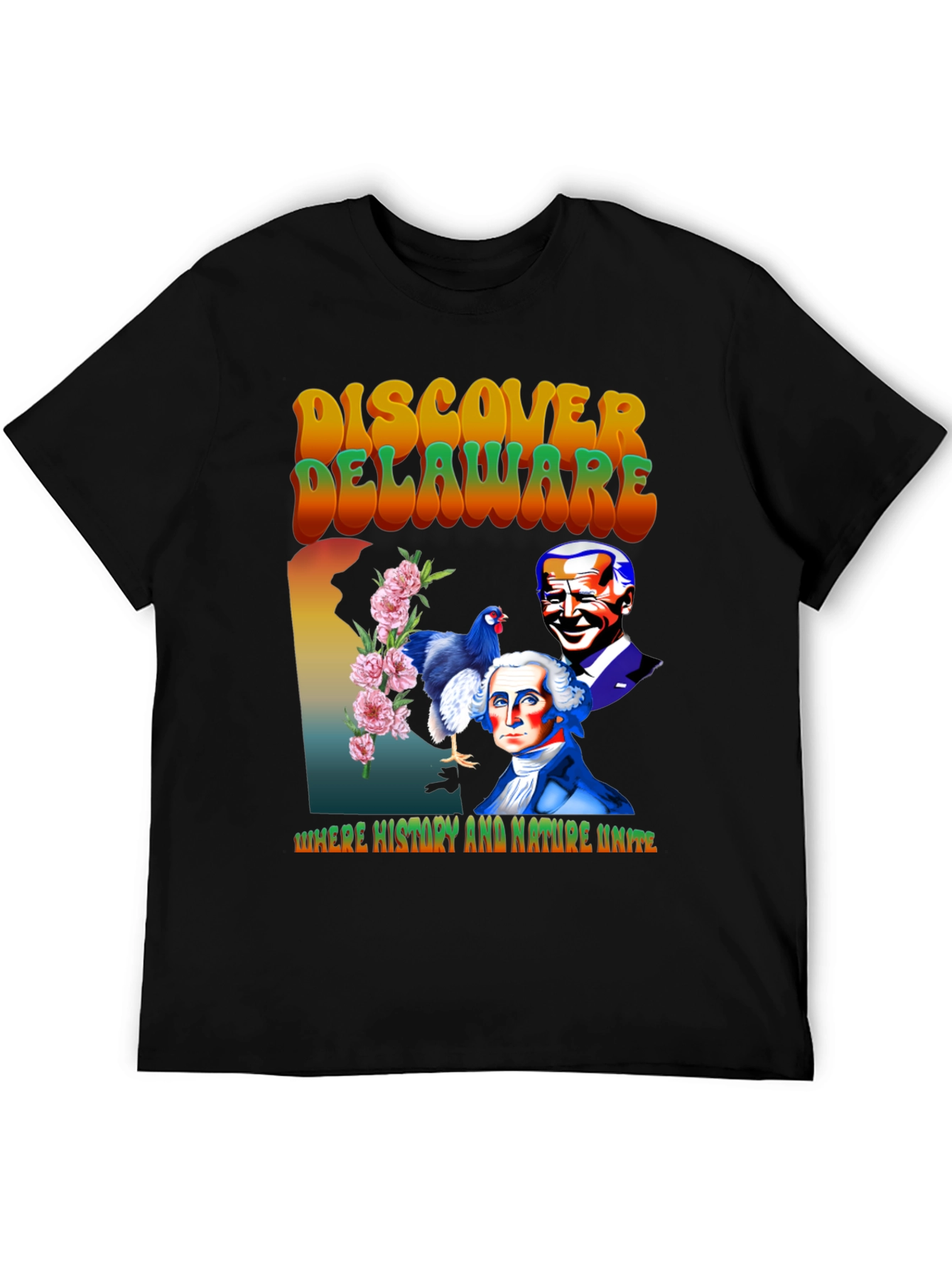 Delaware Pride Graphic Tee