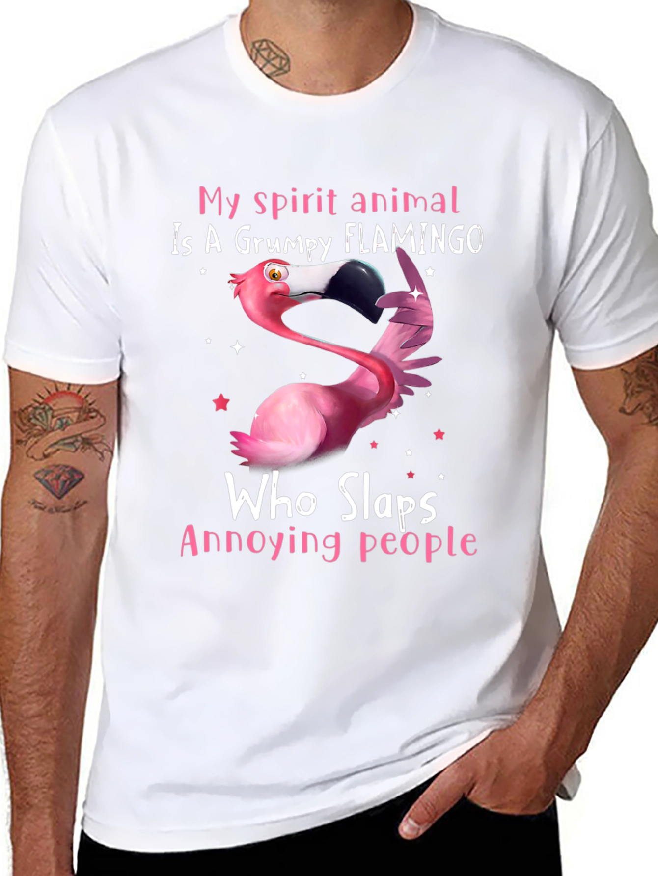 Grumpy Flamingo Slaps Annoying People T-Shirt
