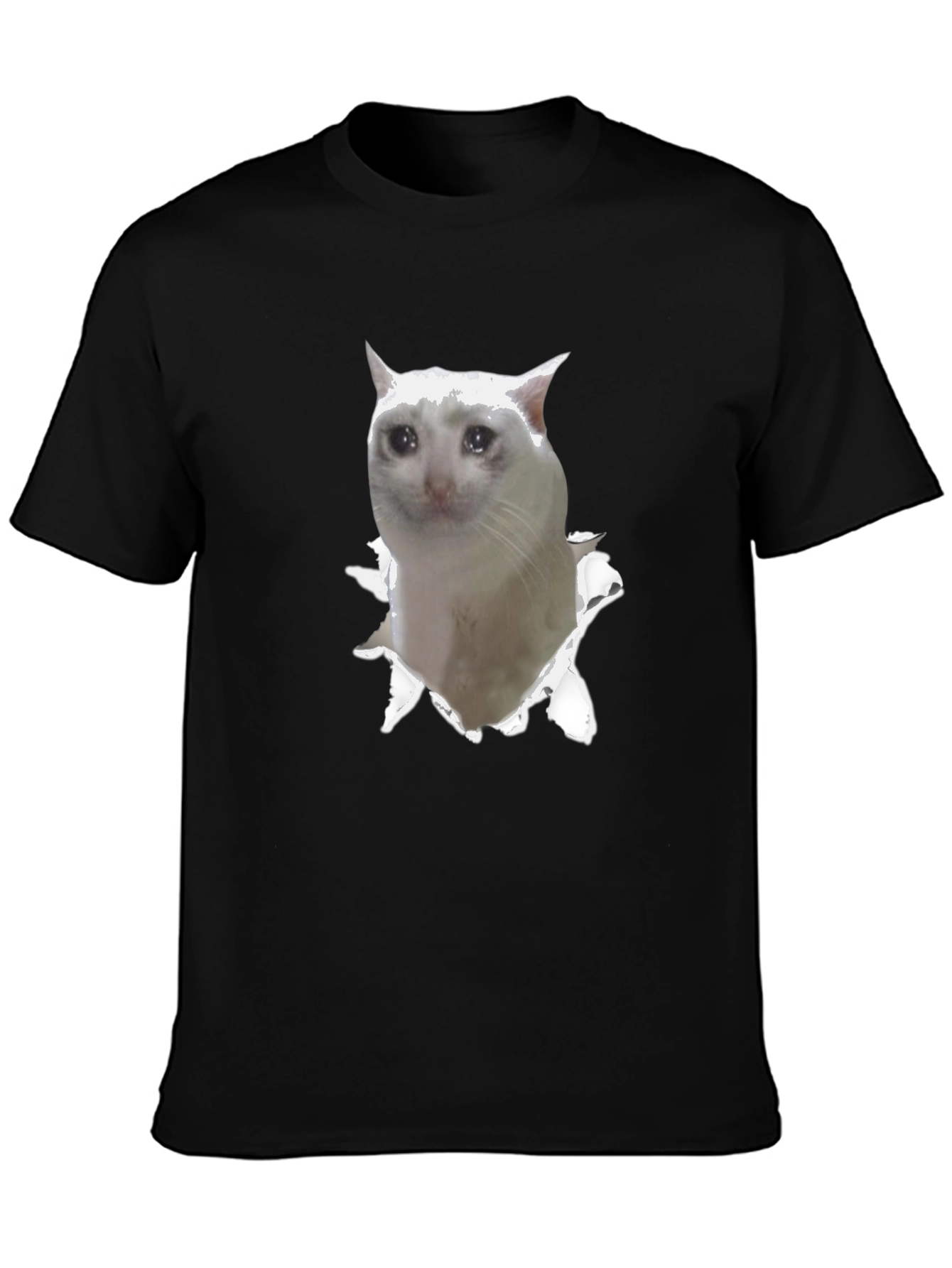 Sad Cat Meme T-Shirt - Funny Viral Tee