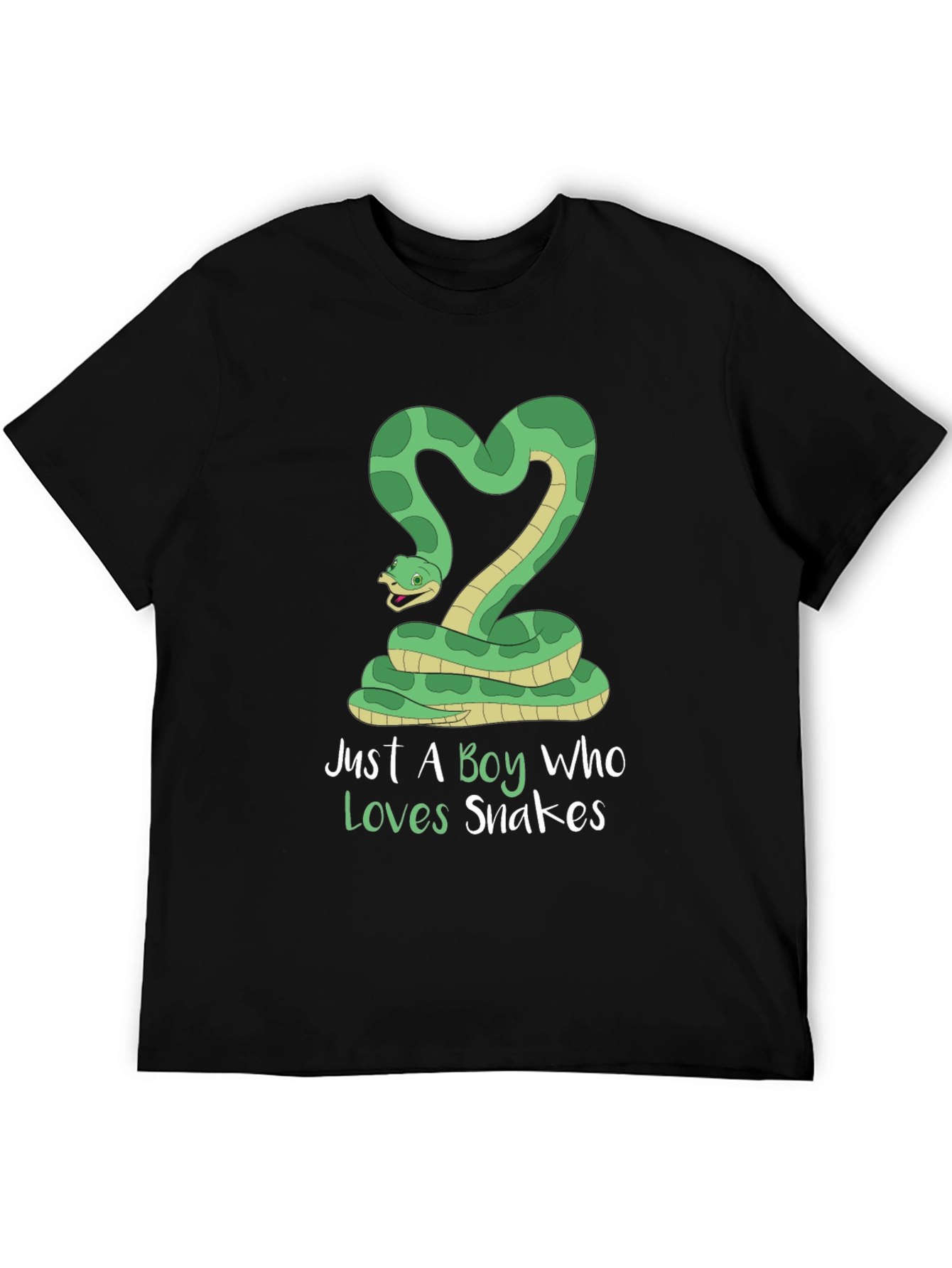 Just A Boy Who Loves Snakes T-Shirt