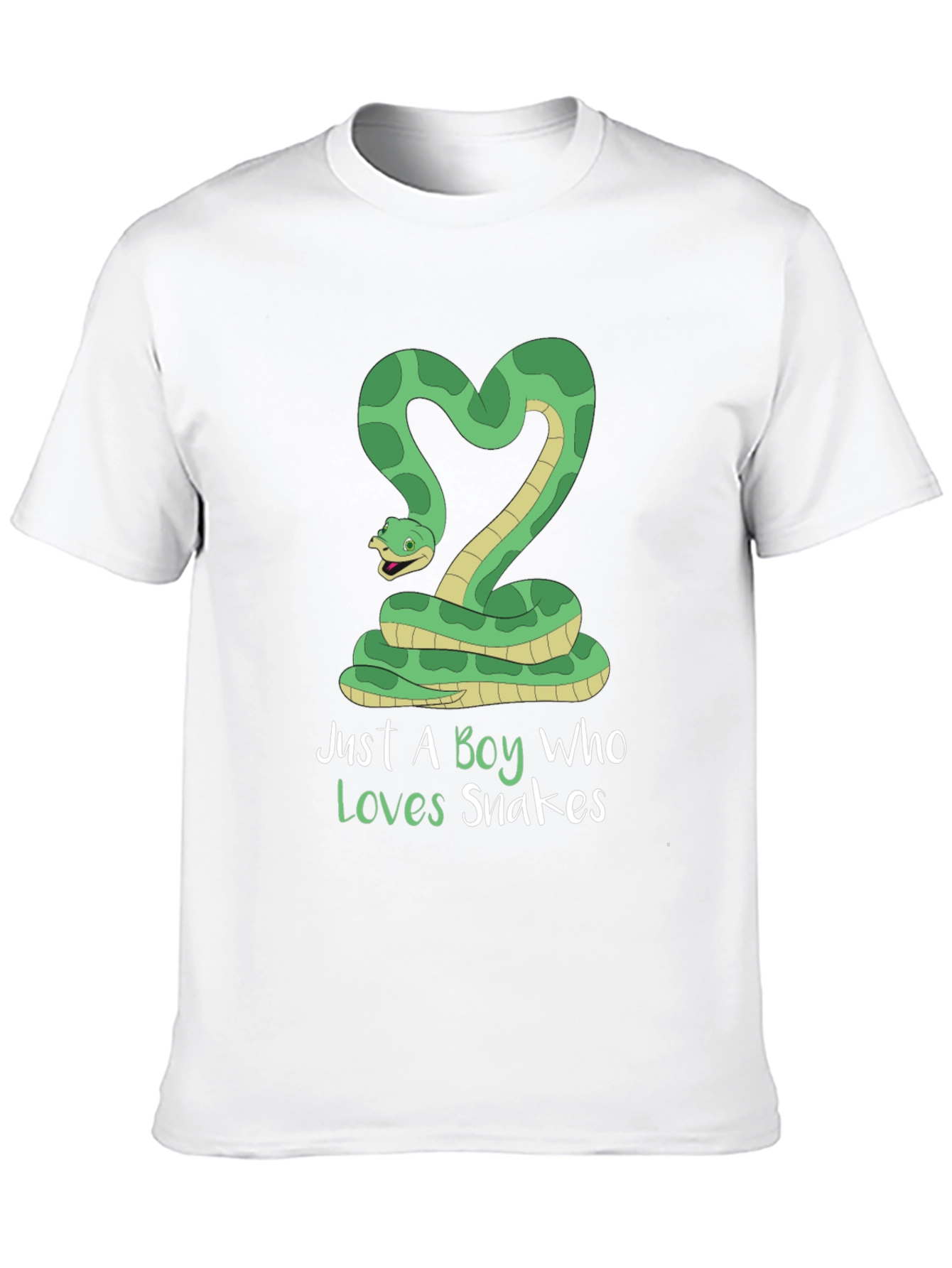 Just A Boy Who Loves Snakes T-Shirt