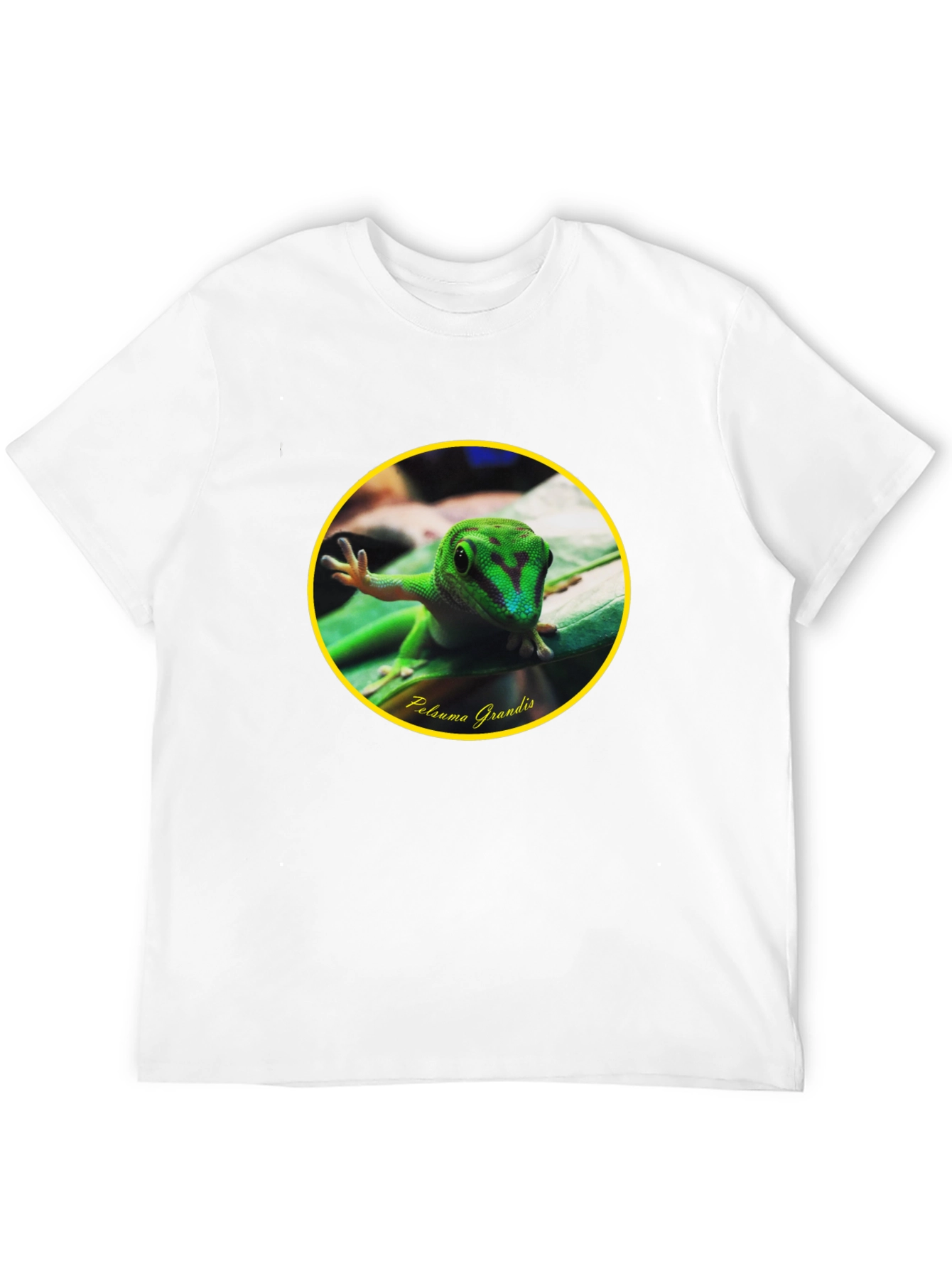 Gecko Phelsuma Grandis Graphic Tee