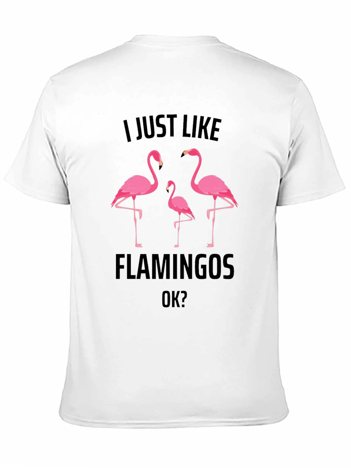 Flamingo Graphic Tee - Mens Black T-Shirt