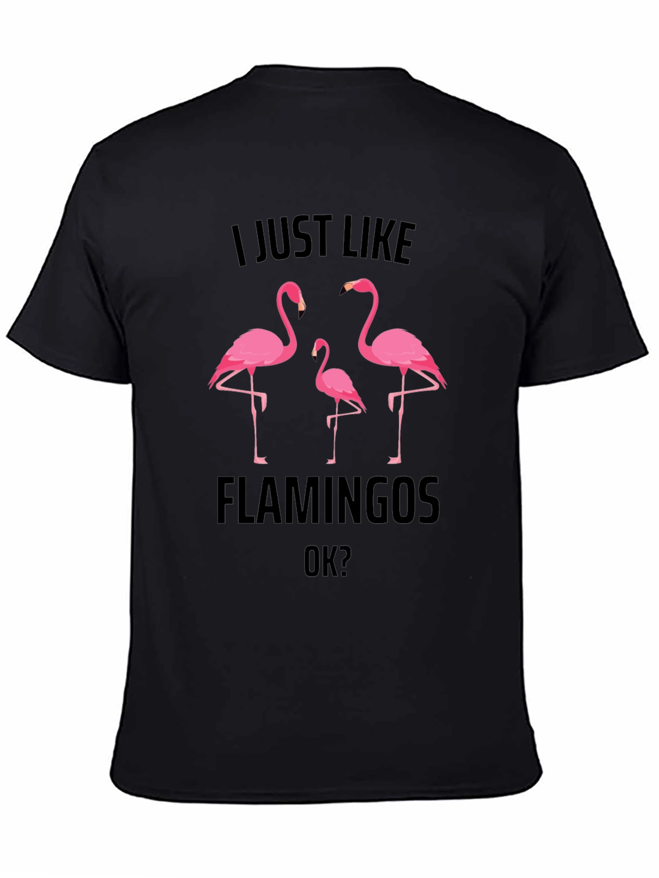 Flamingo Graphic Tee - Mens Black T-Shirt