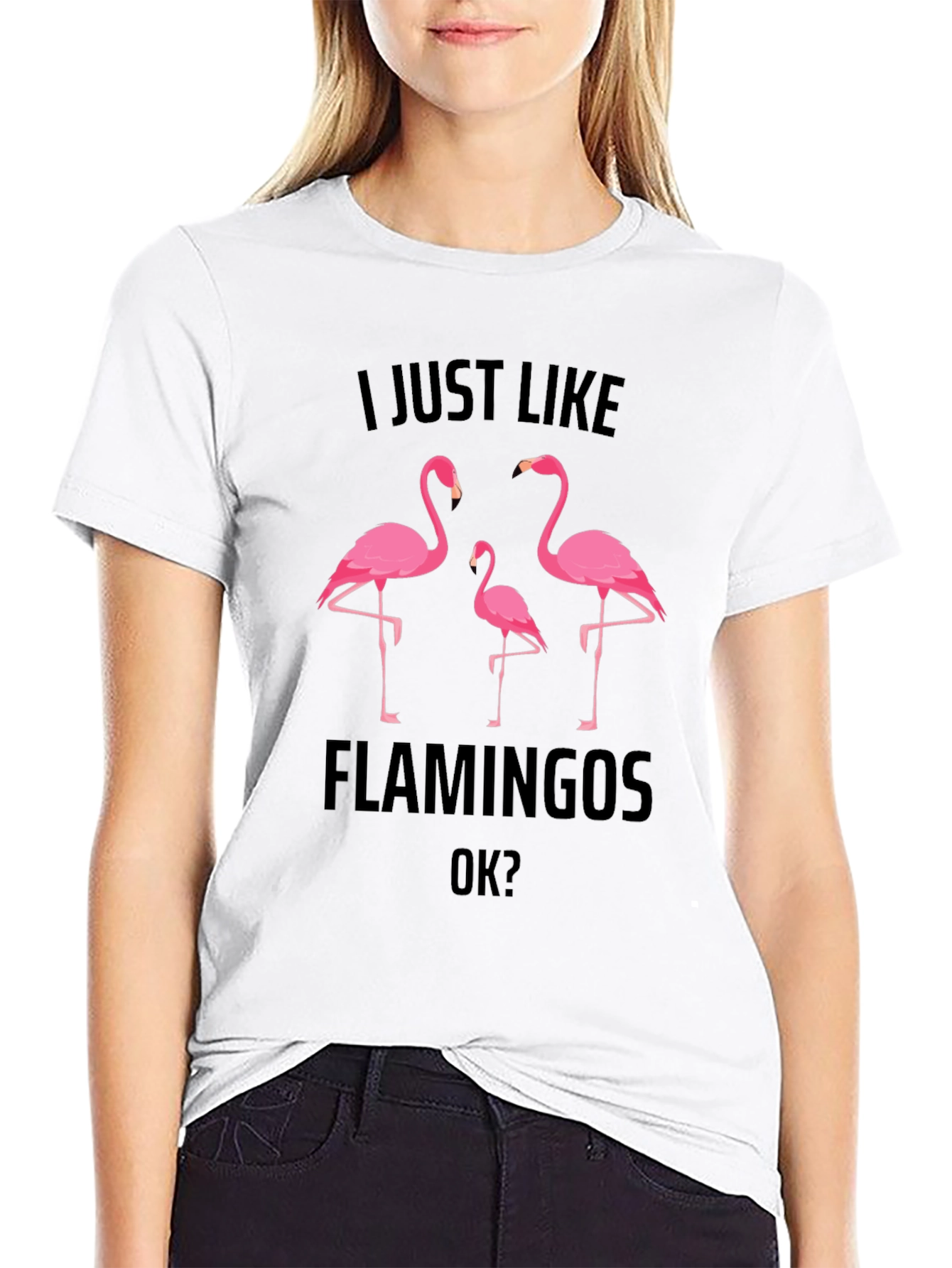 Flamingo Graphic Tee - Mens Black T-Shirt