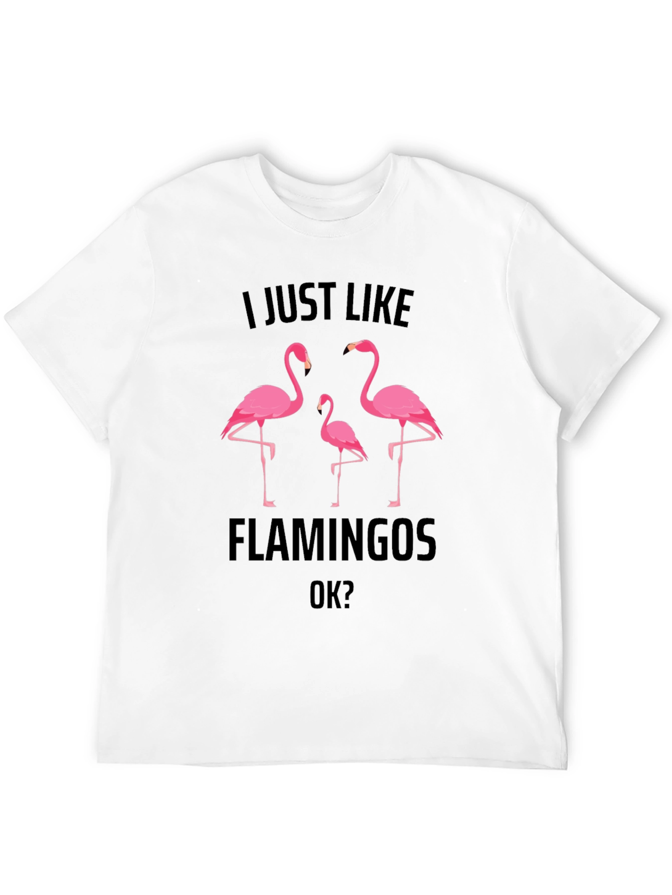 Flamingo Graphic Tee - Mens Black T-Shirt
