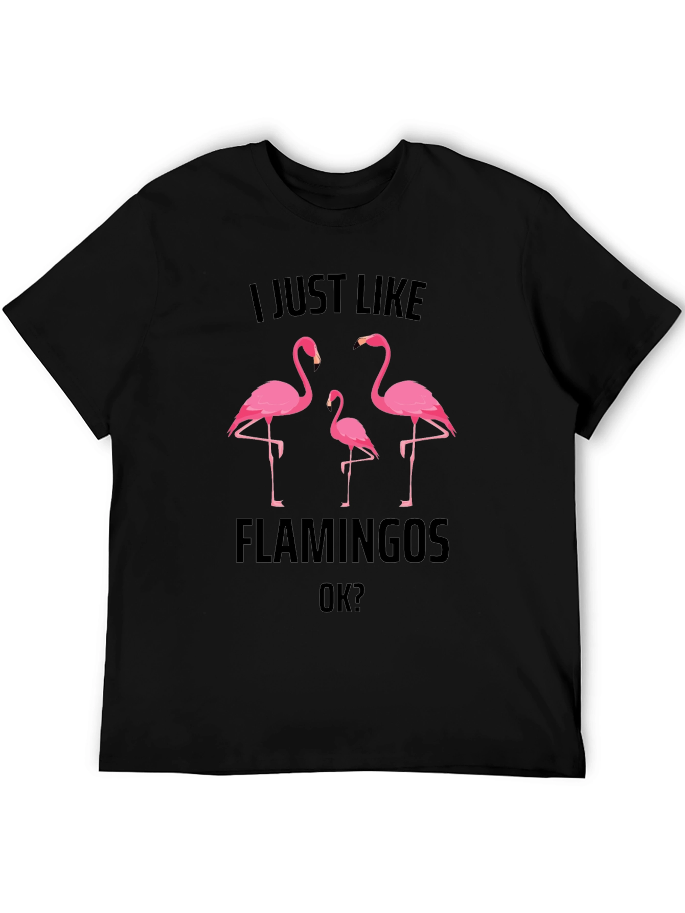 Flamingo Graphic Tee - Mens Black T-Shirt