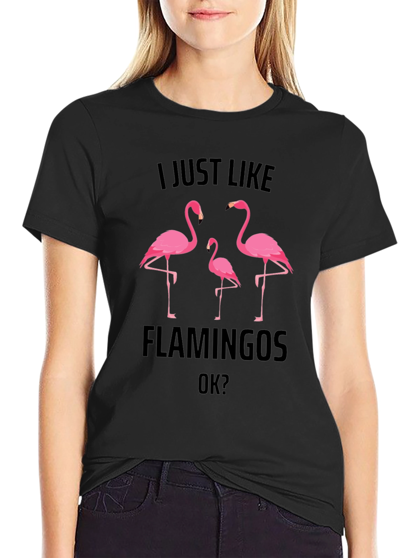 Flamingo Graphic Tee - Mens Black T-Shirt