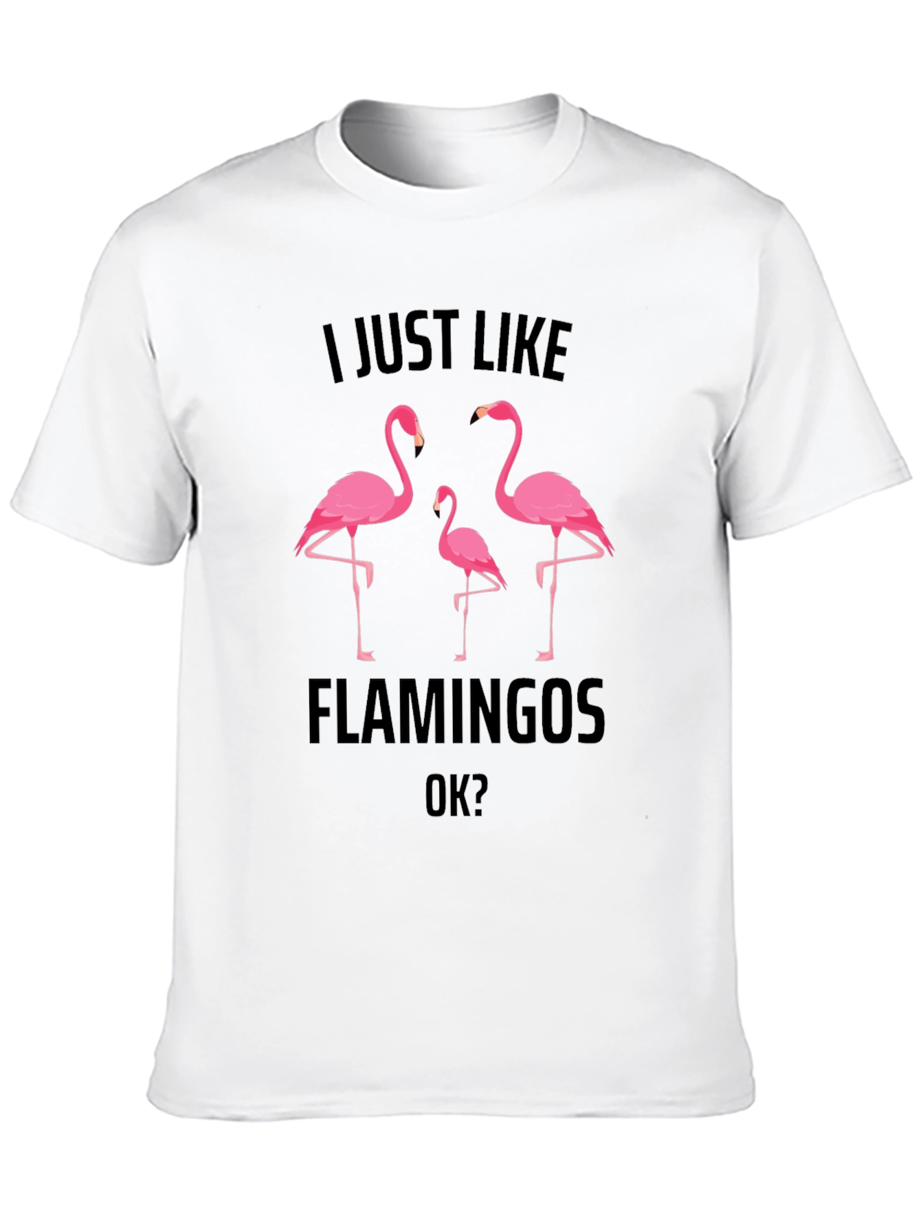 Flamingo Graphic Tee - Mens Black T-Shirt
