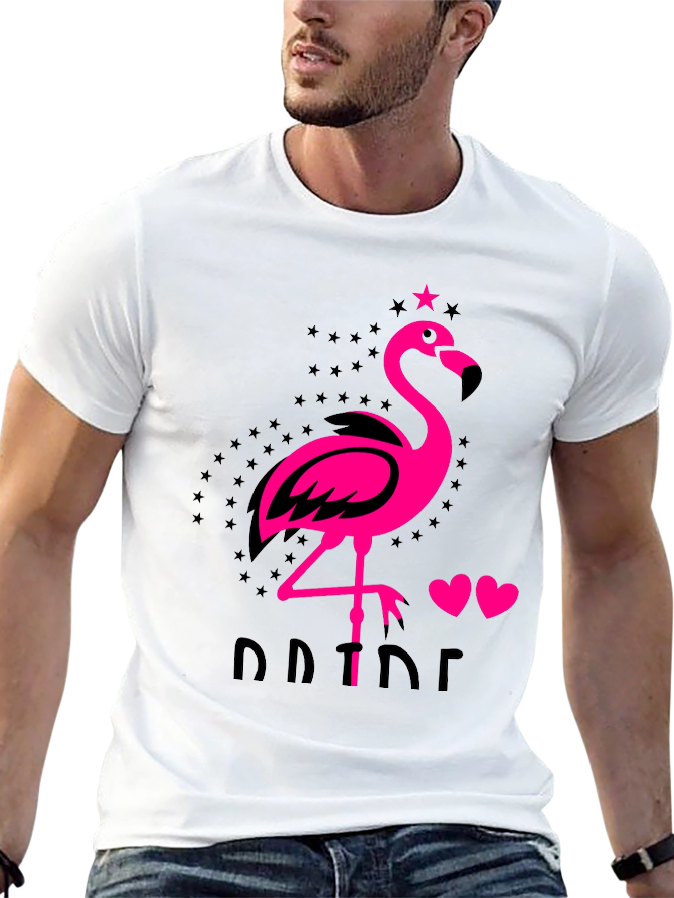 Flamingo Pride Graphic Tee - Mens Black T-Shirt