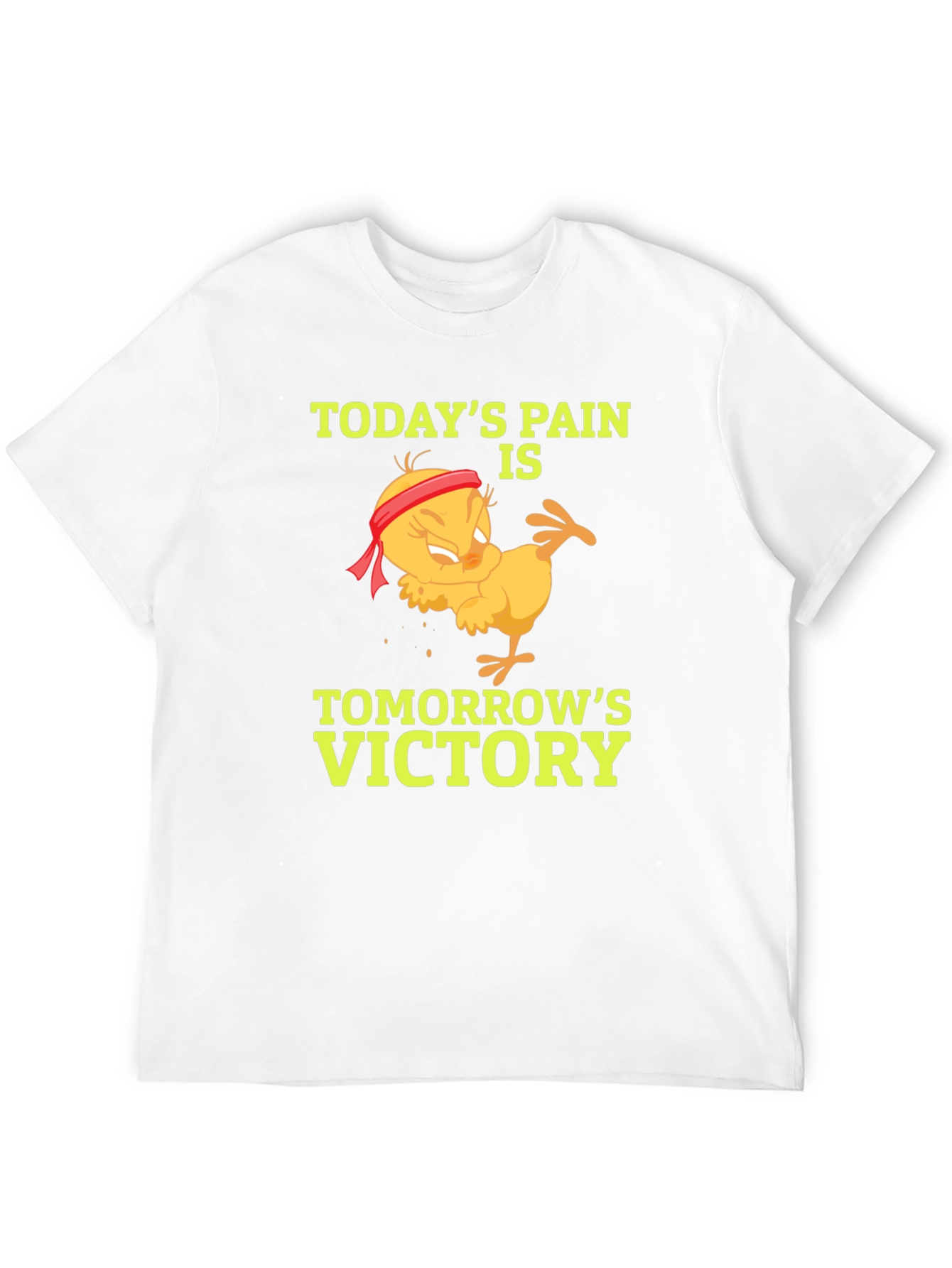 Todays Pain Tomorrows Victory T-Shirt