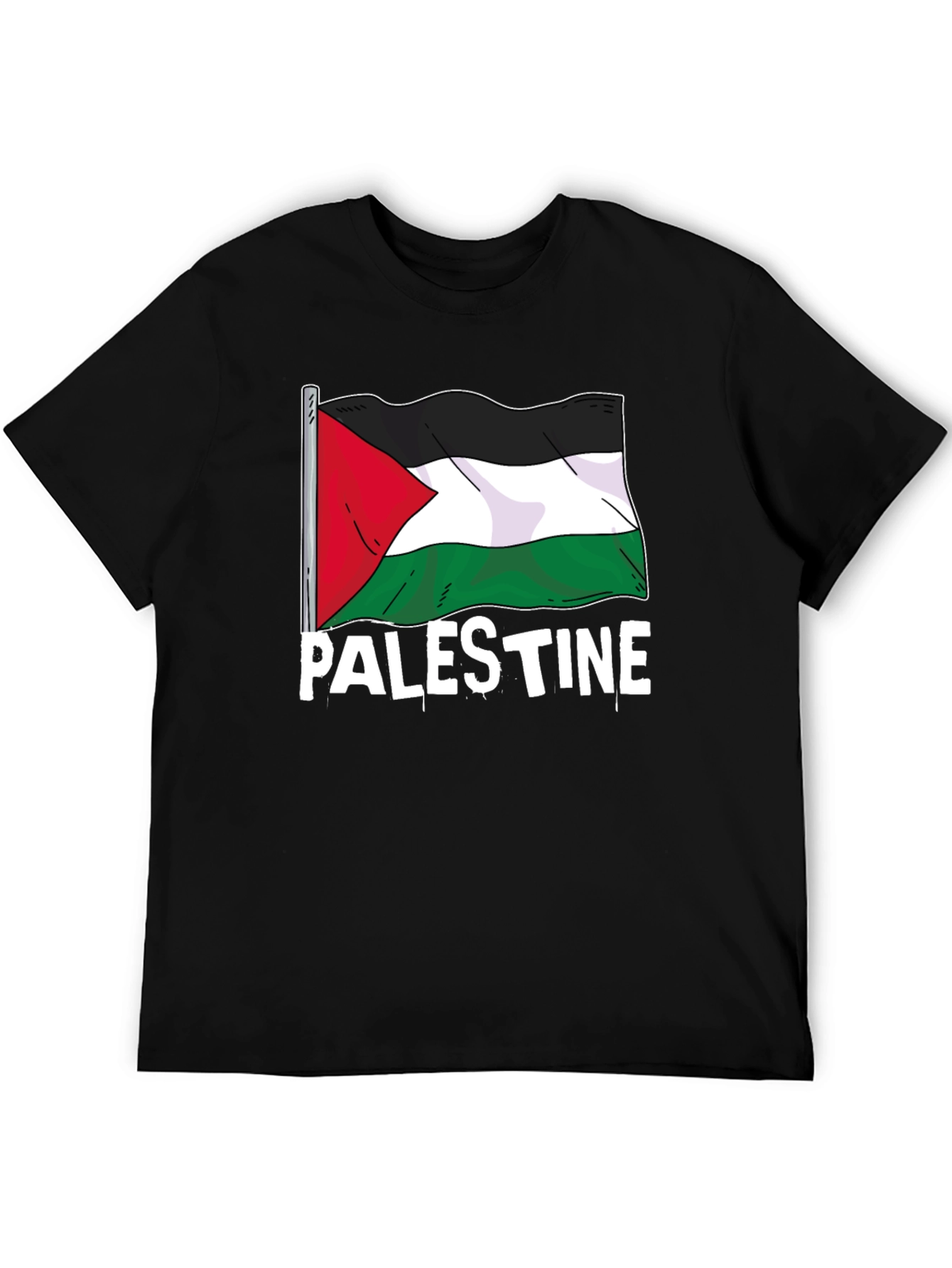 Palestine Flag Graphic T-Shirt - Black