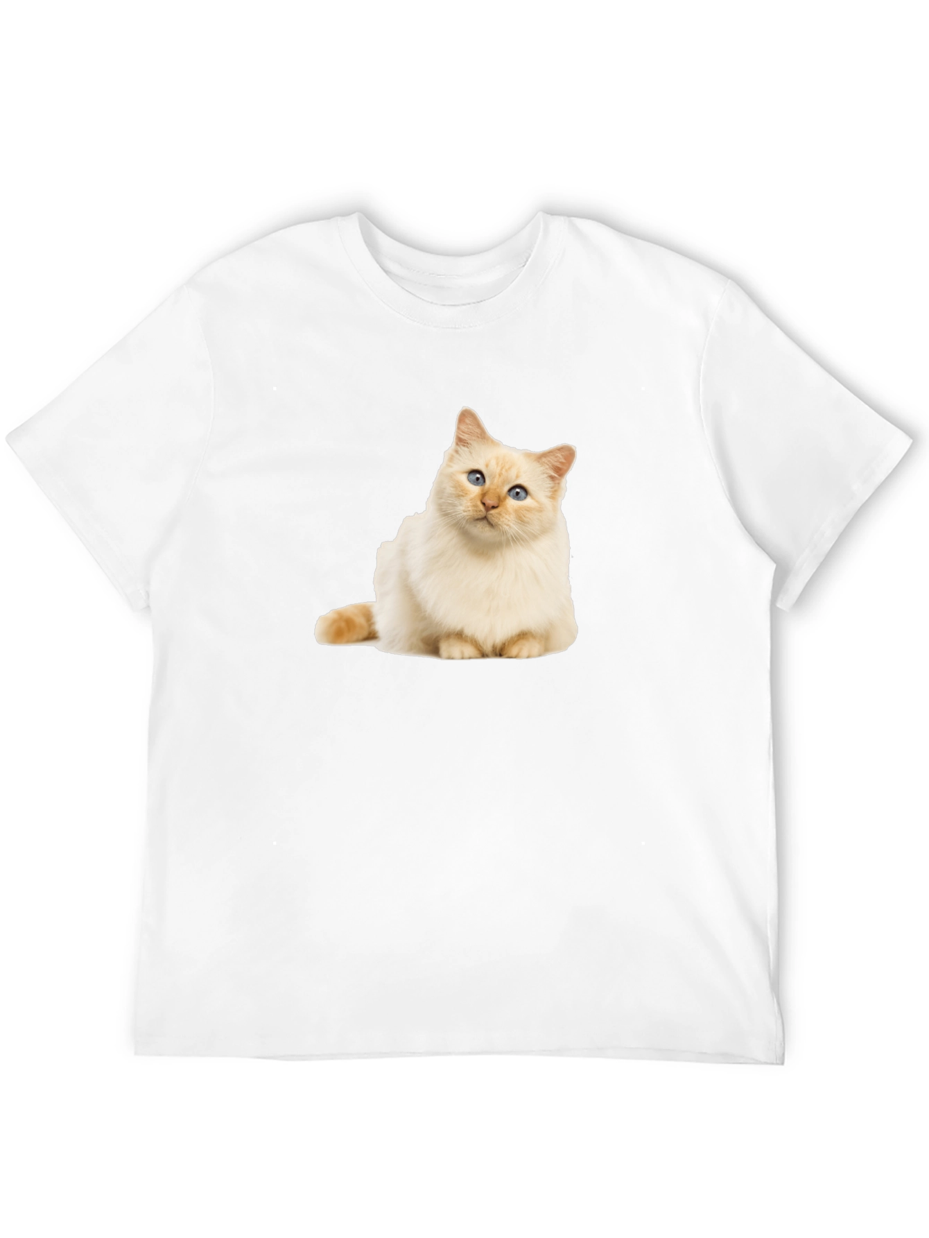 Cat Graphic Black T-Shirt - Soft Cotton Blend
