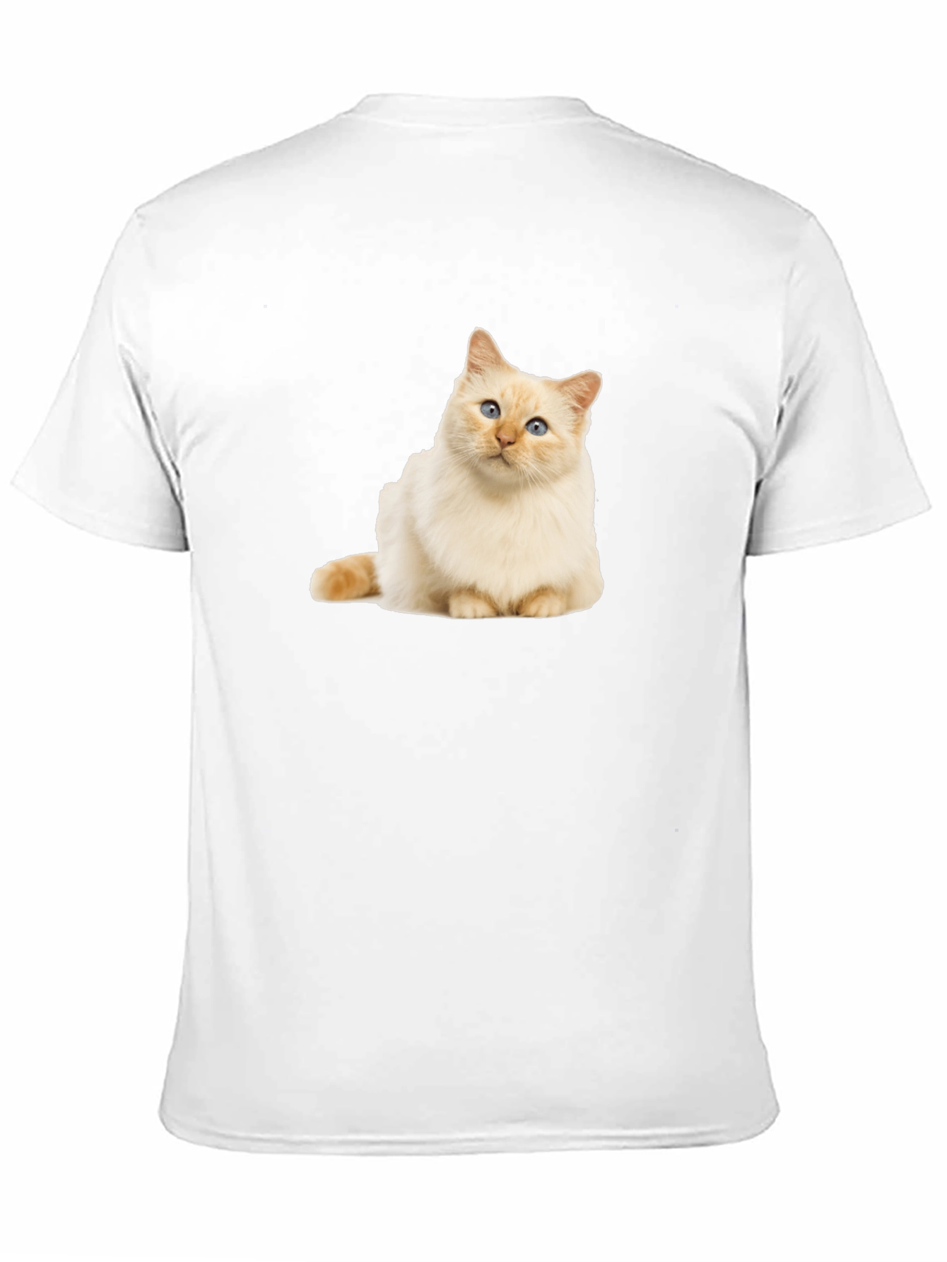 Cat Graphic Black T-Shirt - Soft Cotton Blend