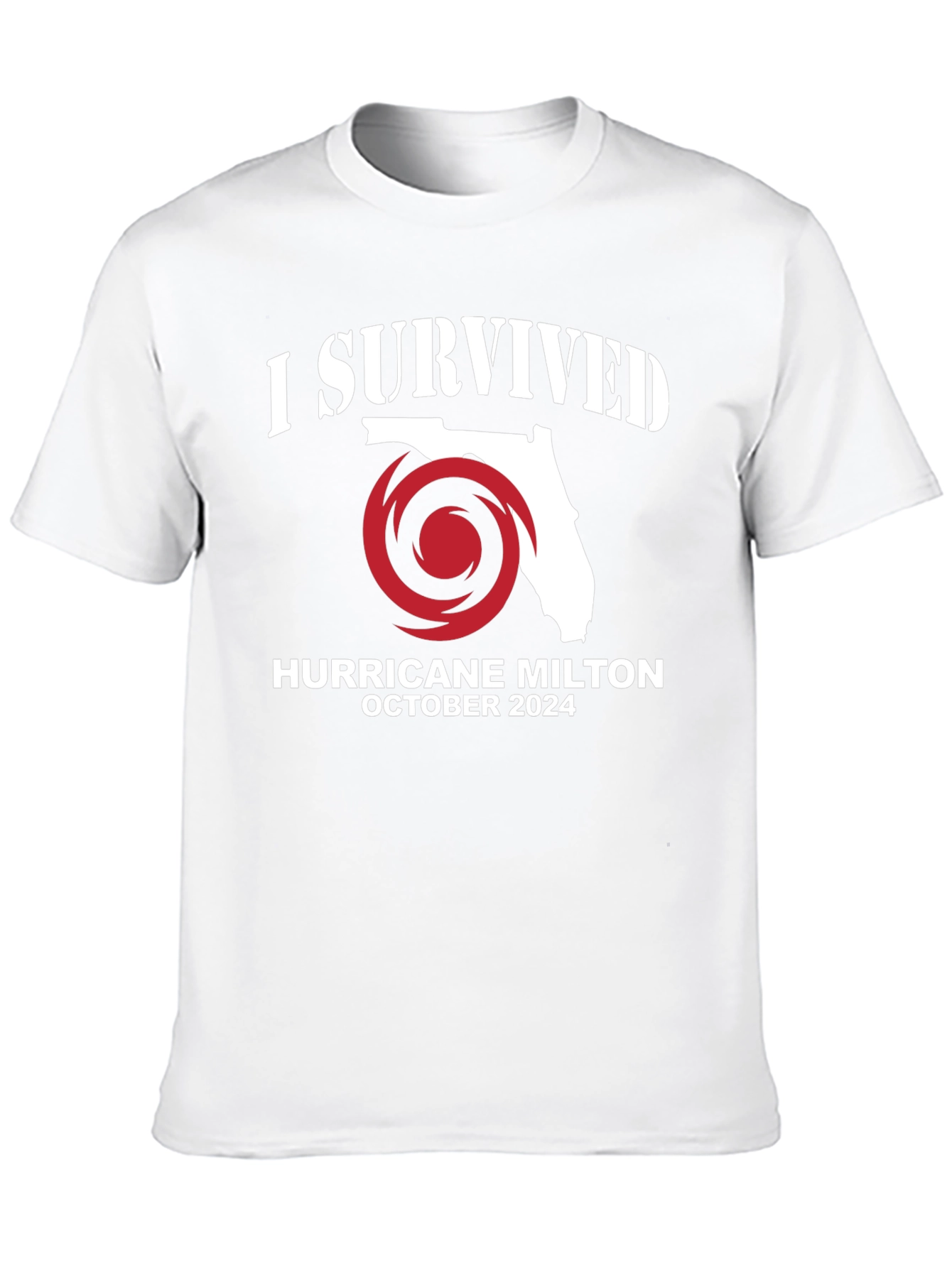 I Survived Hurricane Milton 2024 Black T-Shirt