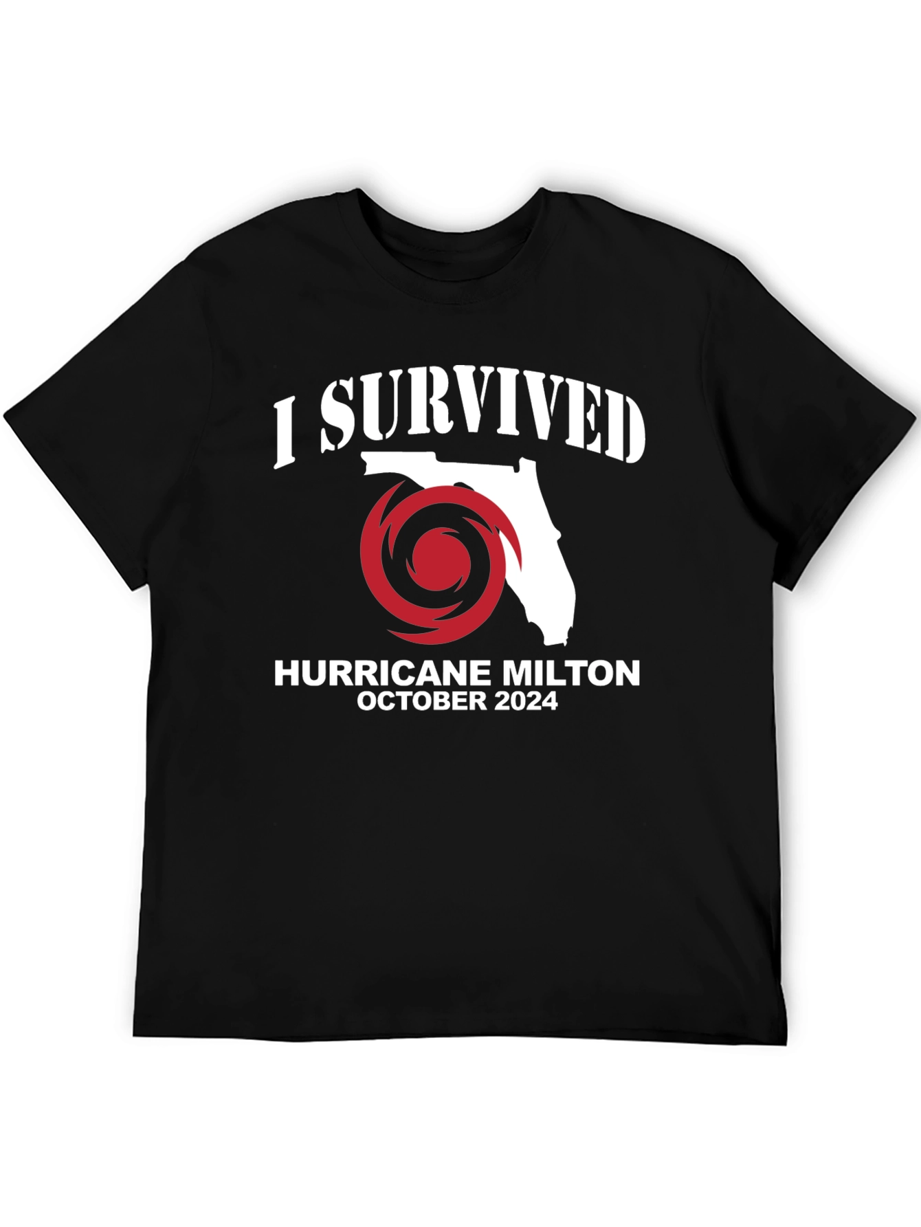 I Survived Hurricane Milton 2024 Black T-Shirt