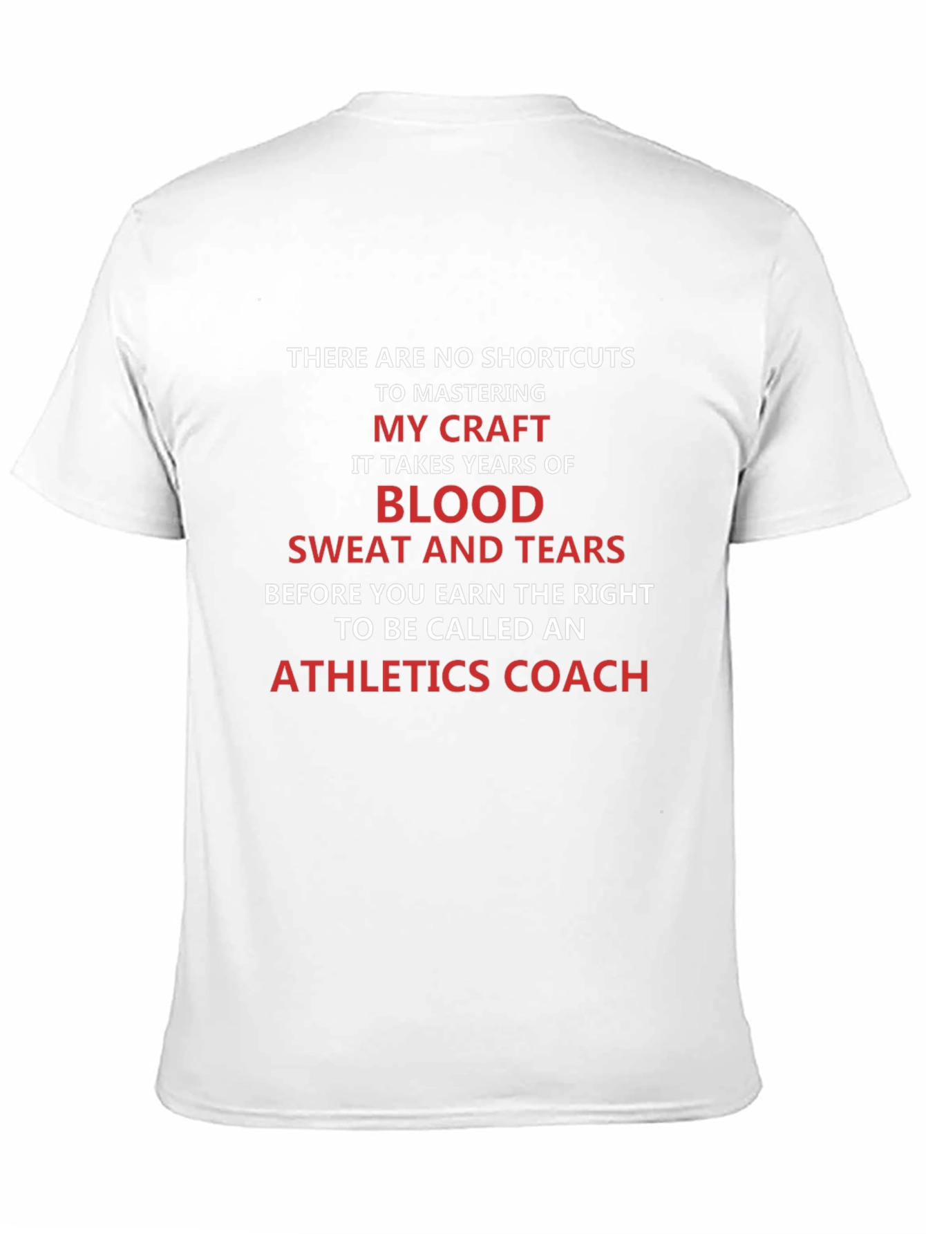 Athletics Coach Blood Sweat and Tears T-Shirt
