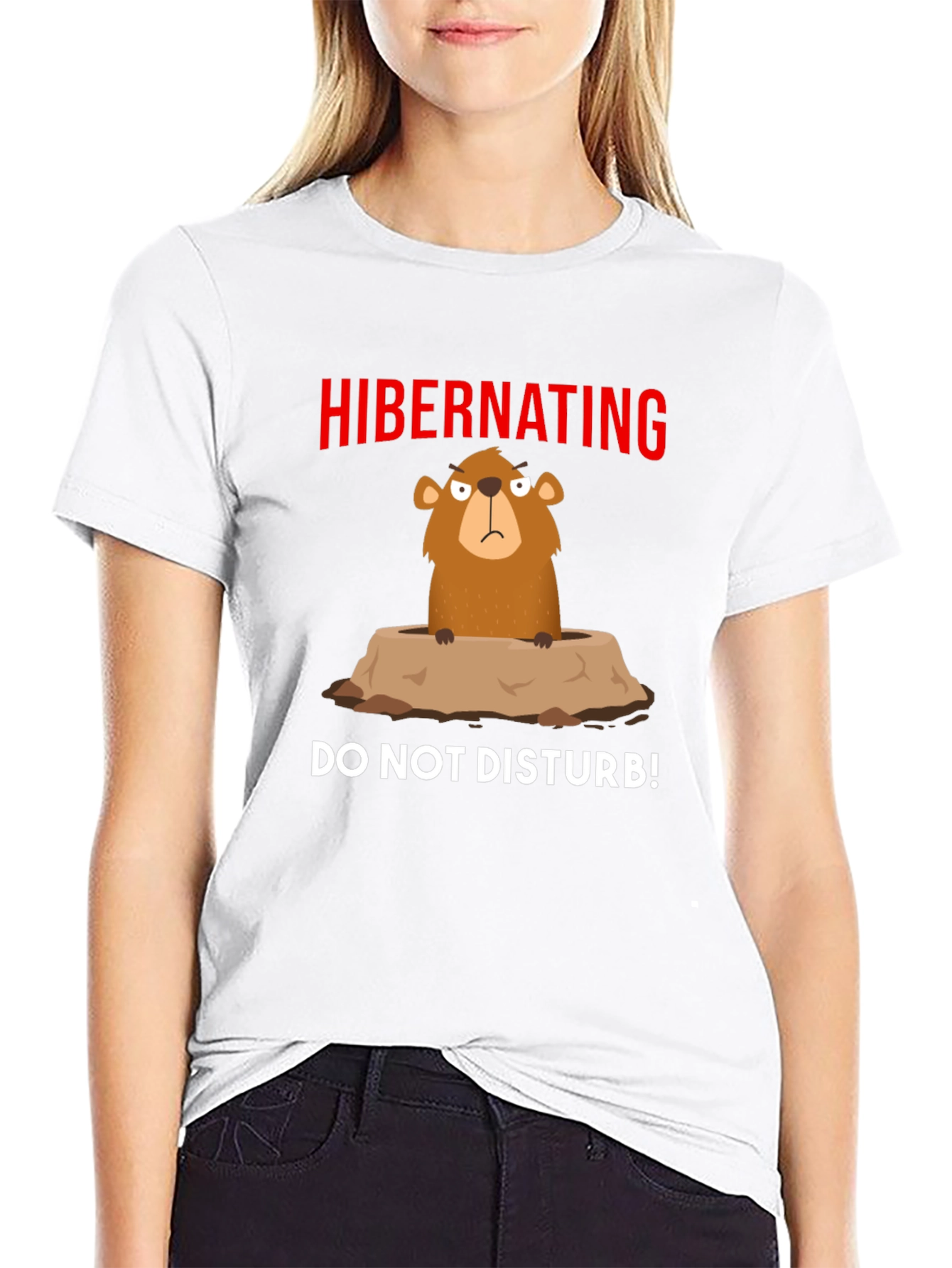 Hibernating Groundhog T-Shirt - Do Not Disturb