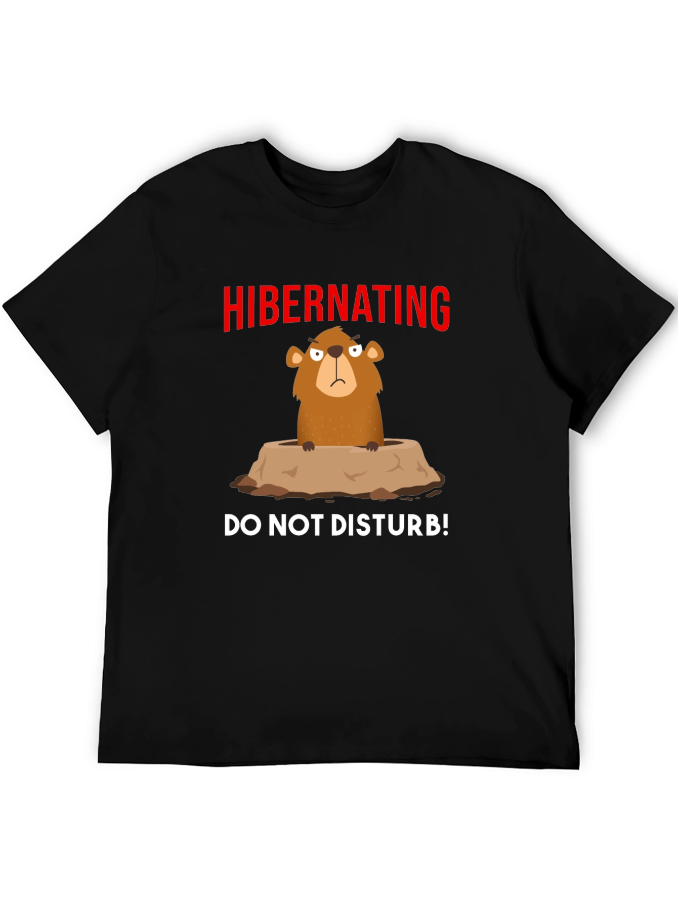 Hibernating Groundhog T-Shirt - Do Not Disturb