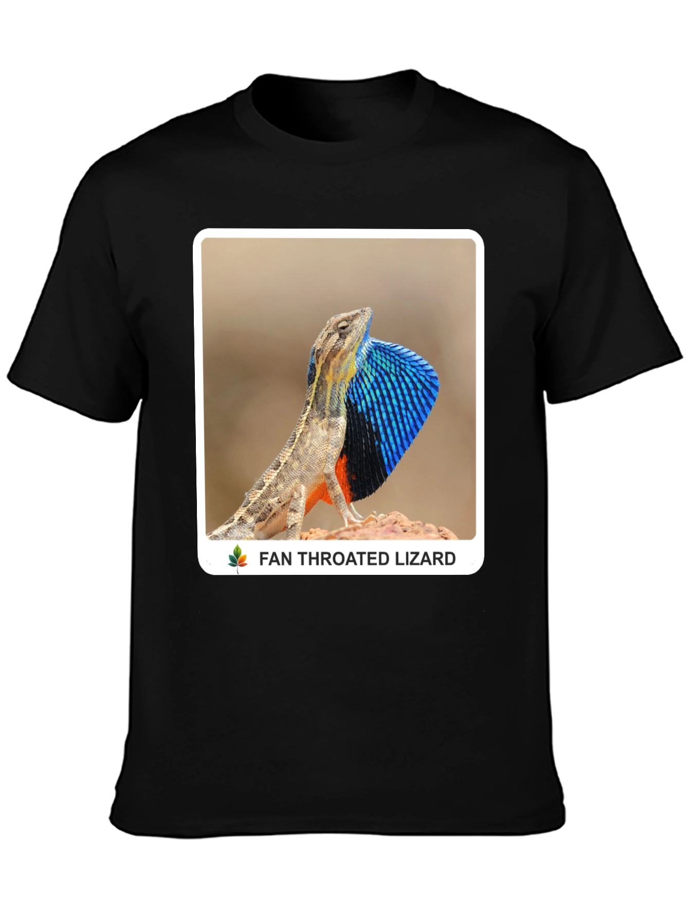 Fan Throated Lizard Graphic T-Shirt