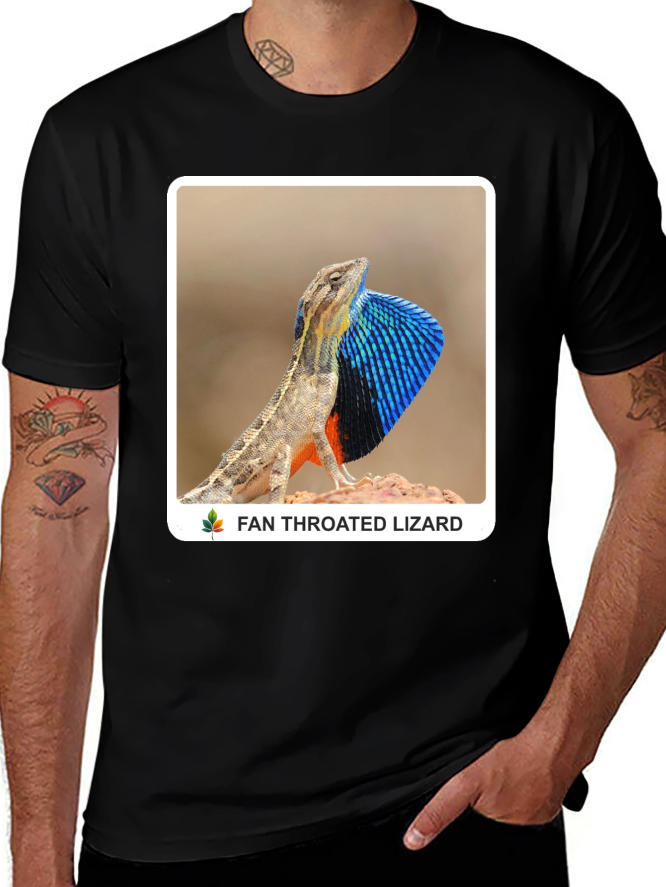 Fan Throated Lizard Graphic T-Shirt