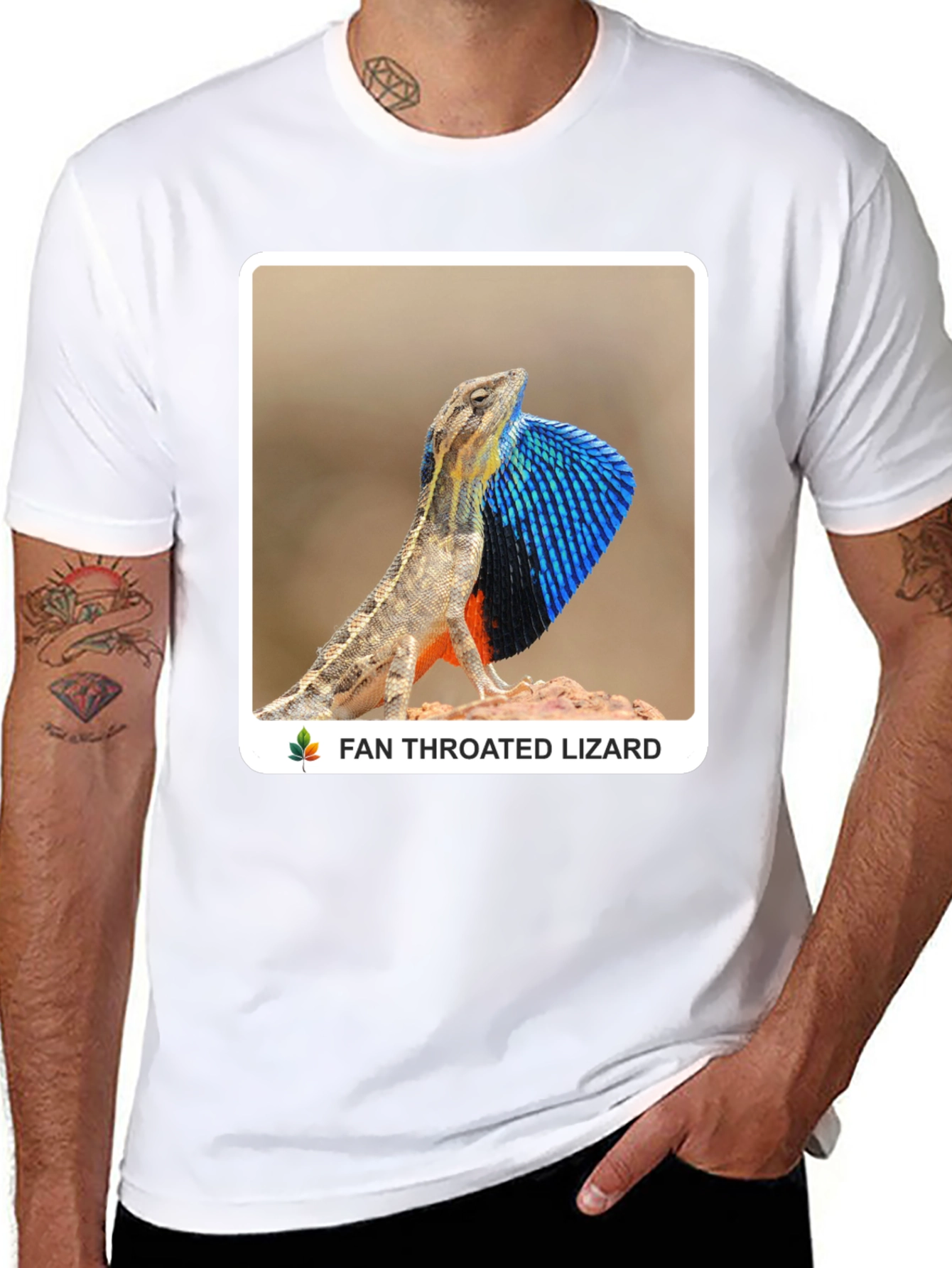 Fan Throated Lizard Graphic T-Shirt