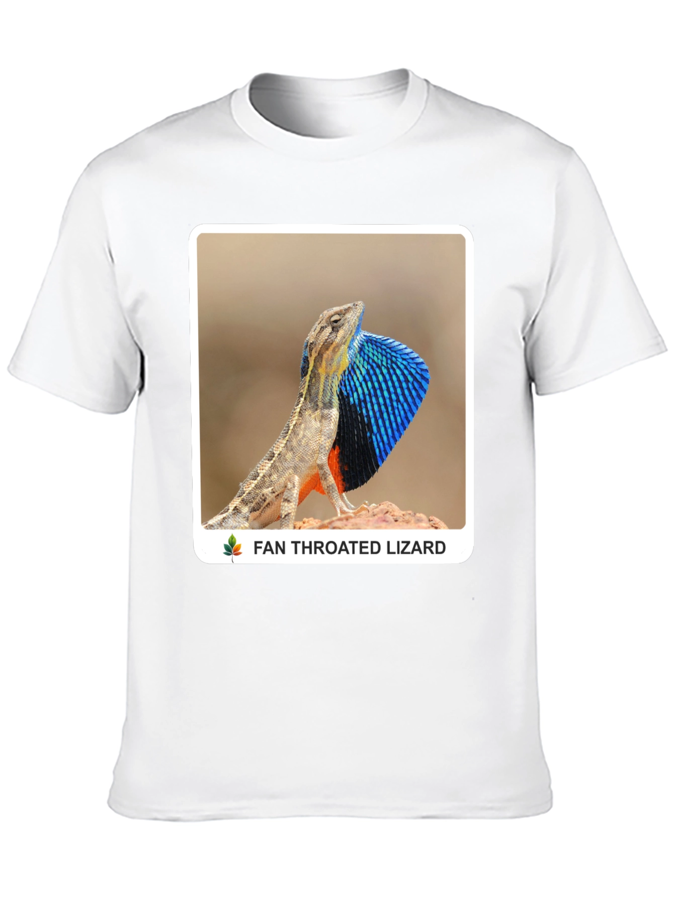 Fan Throated Lizard Graphic T-Shirt