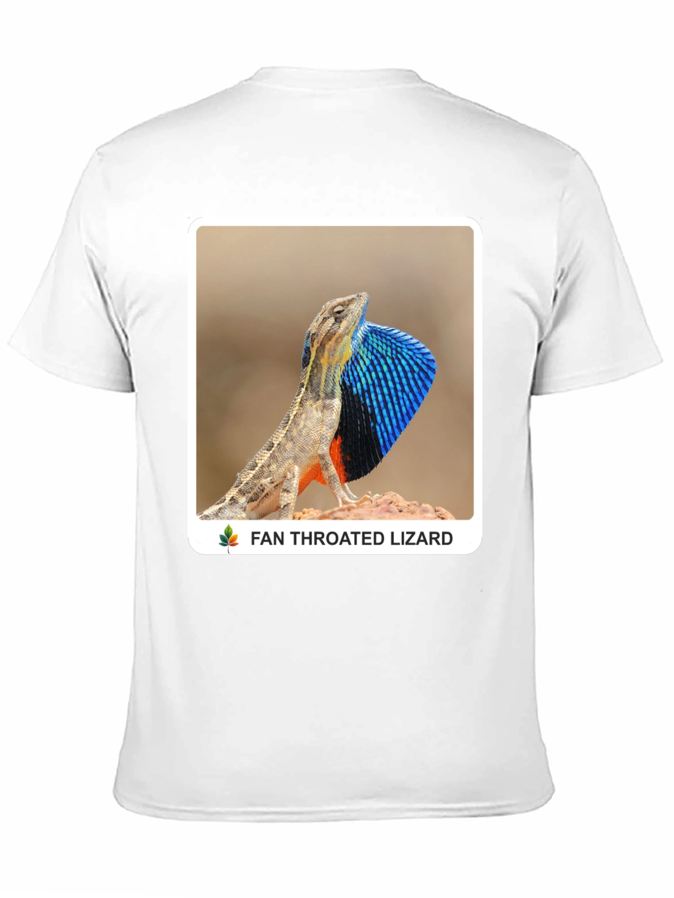 Fan Throated Lizard Graphic T-Shirt