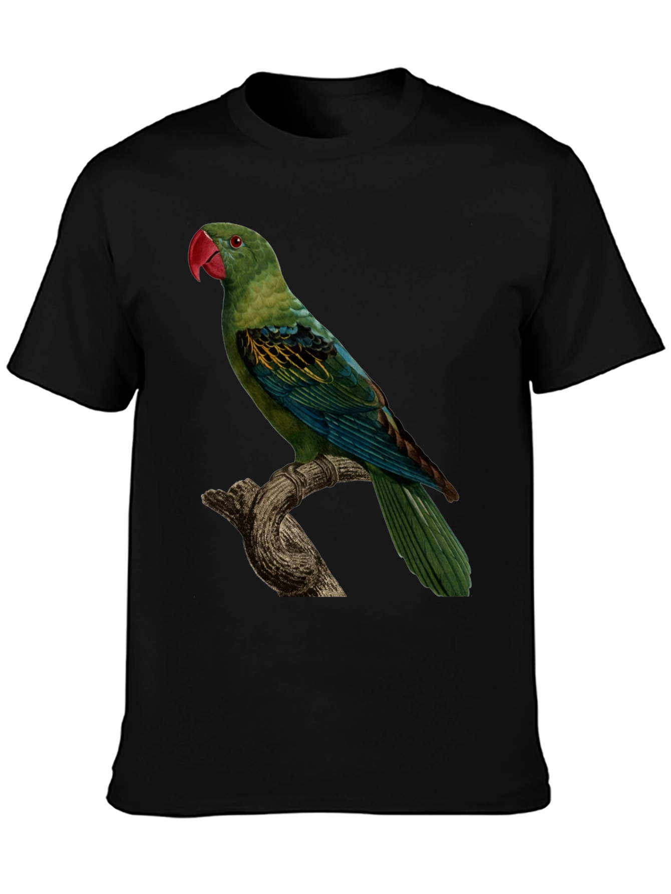 Parrot Graphic Tee - Unique Bird Design